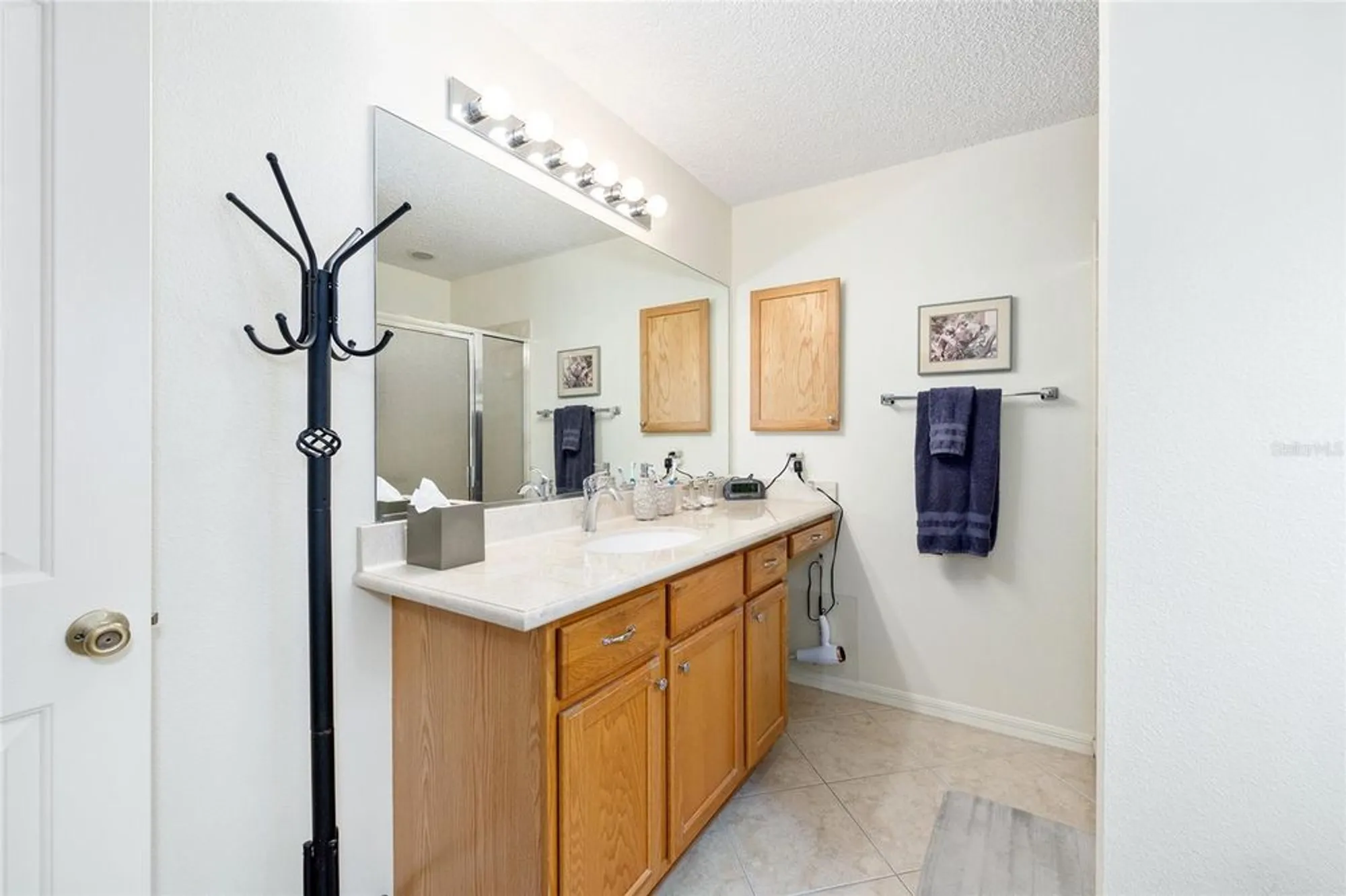 Property Slideshow image 17 of 39 | 16838 se 93rd cuthbert cir, The Villages, FL, 32162