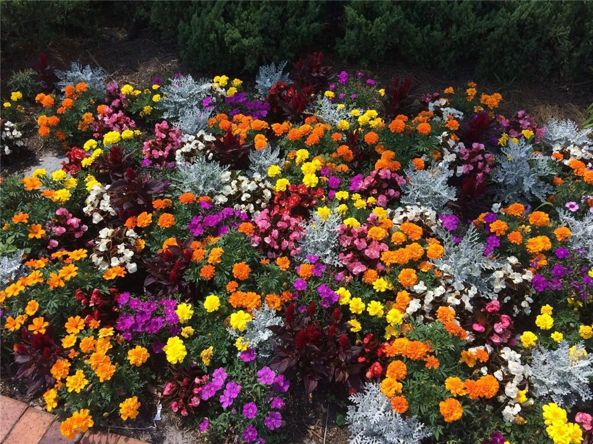 Property Slideshow image 38 of 46 | 8872 sw 92nd pl f, Ocala, FL, 34481