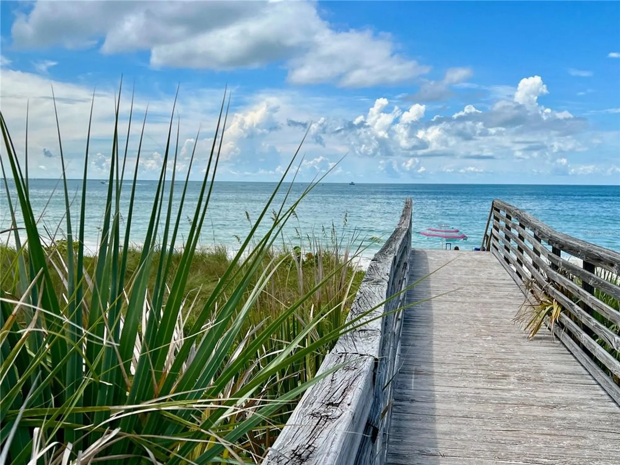 Property Slideshow image 29 of 34 | 870 virginia st apt 302, Dunedin, FL, 34698