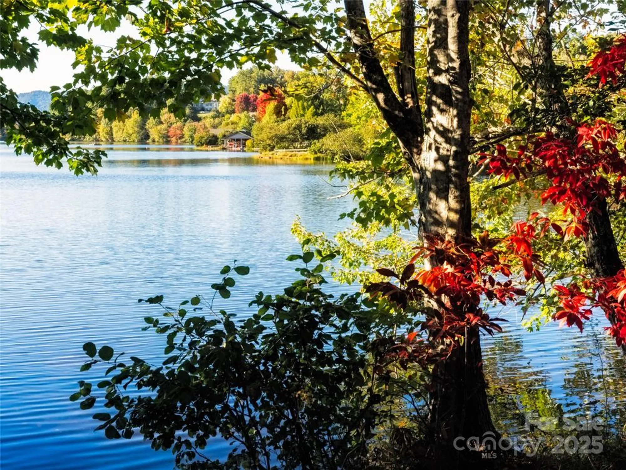 Property Slideshow image 45 of 48 | 588 welsh partridge cir, Biltmore Lake, NC, 28715