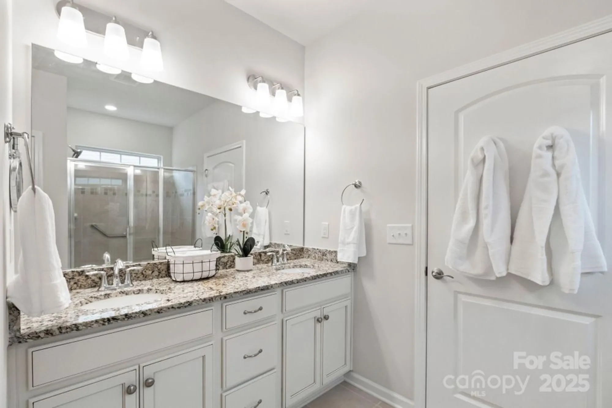Property Slideshow image 13 of 40 | 360 picasso trl # 169, Mount Holly, NC, 28120