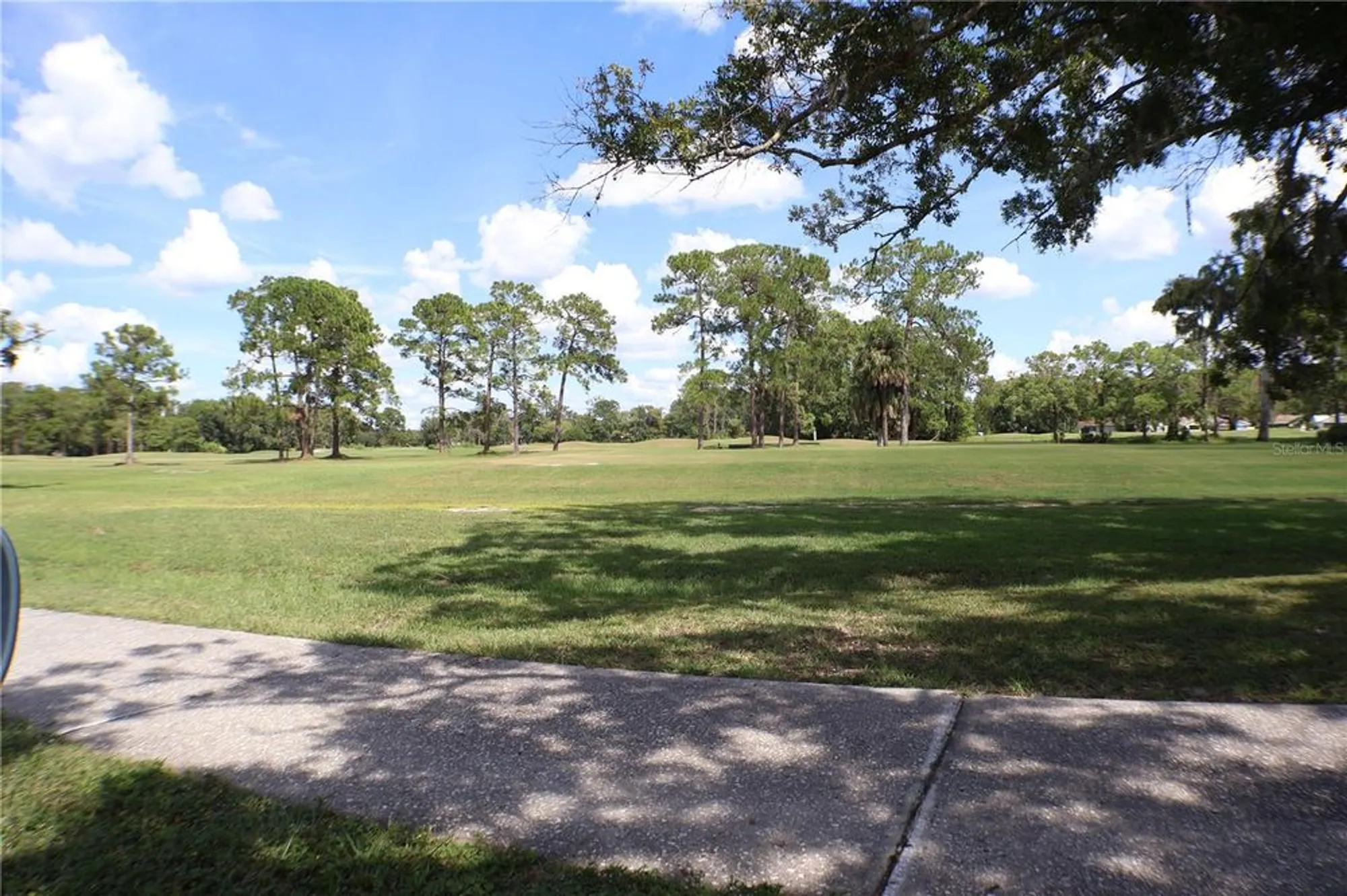 Property Slideshow image 34 of 37 | 11806 white ash dr, New Port Richey, FL, 34654