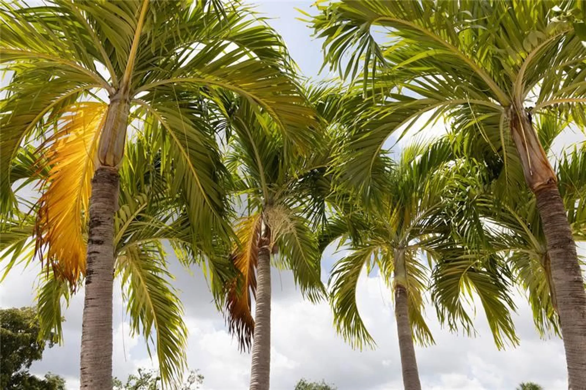 Property Slideshow image 57 of 67 | 7855 nw 5th ct 201, Margate, FL, 33063