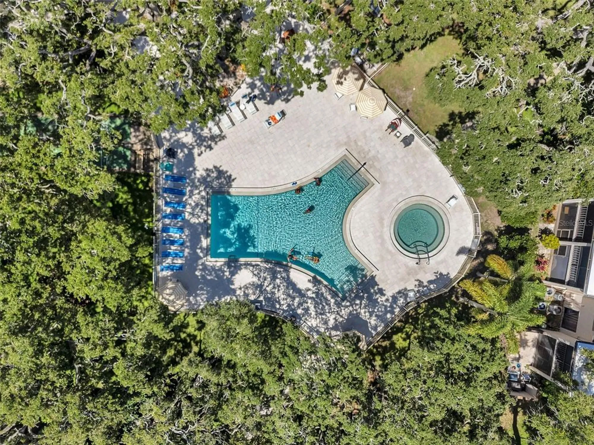 Property Slideshow image 34 of 36 | 870 virginia st apt 113, Dunedin, FL, 34698