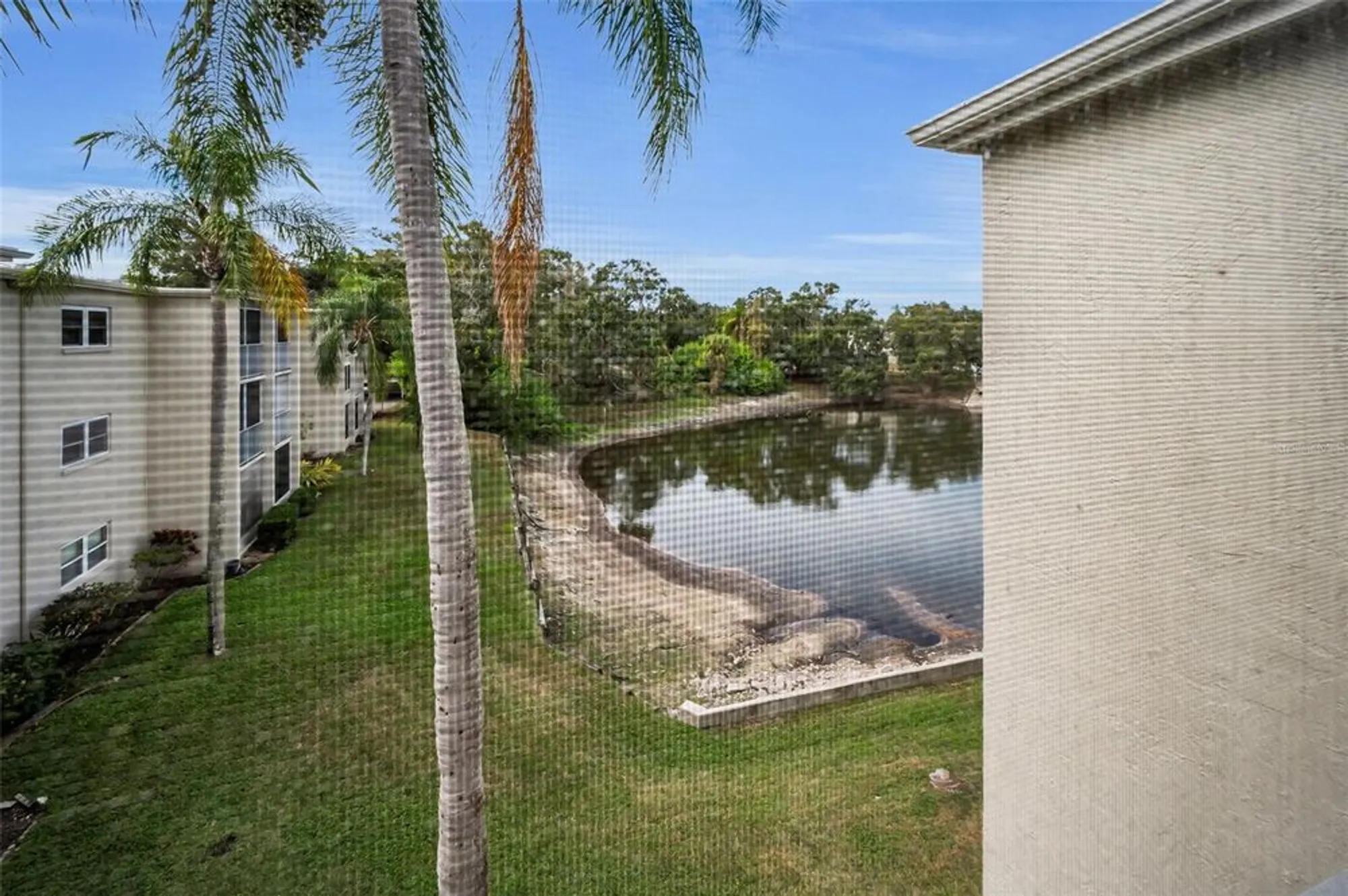 Property Slideshow image 19 of 53 | 960 virginia st 307, Dunedin, FL, 34698
