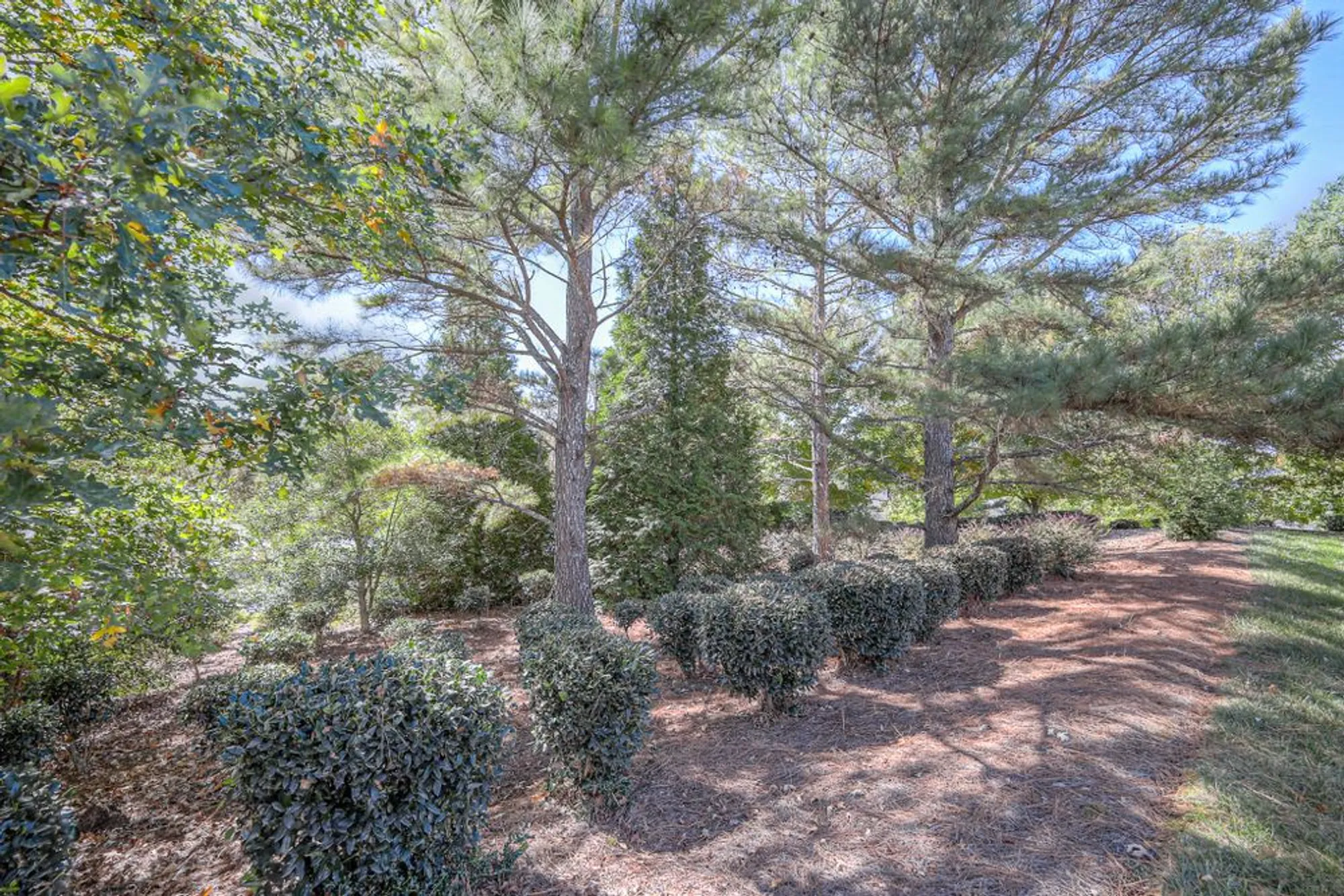 Property Slideshow image 44 of 55 | 421 schooner ln, Mount Juliet, TN, 37122