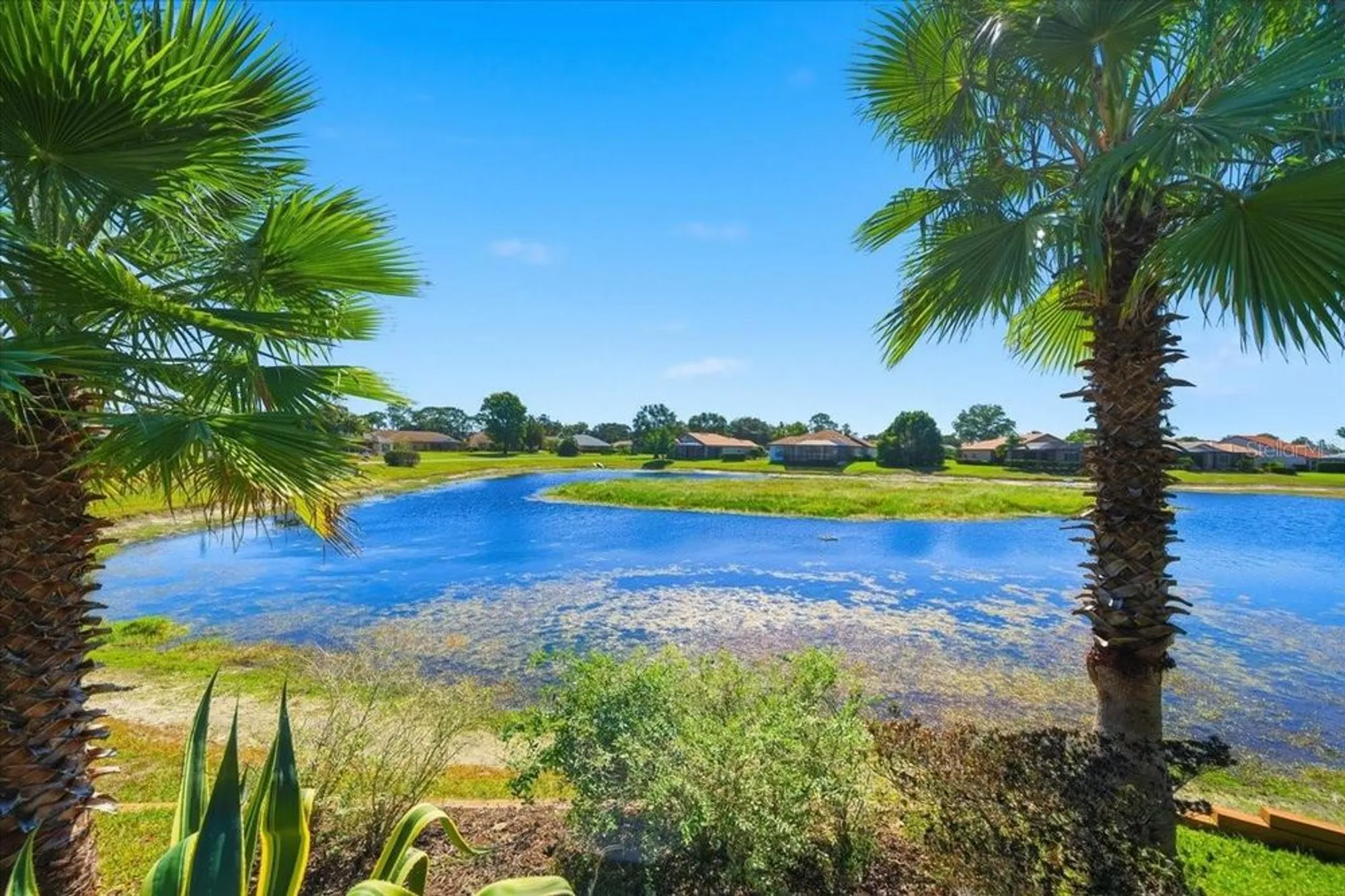 Property Slideshow image 70 of 78 | 8396 fair hill dr, Weeki Wachee, FL, 34613