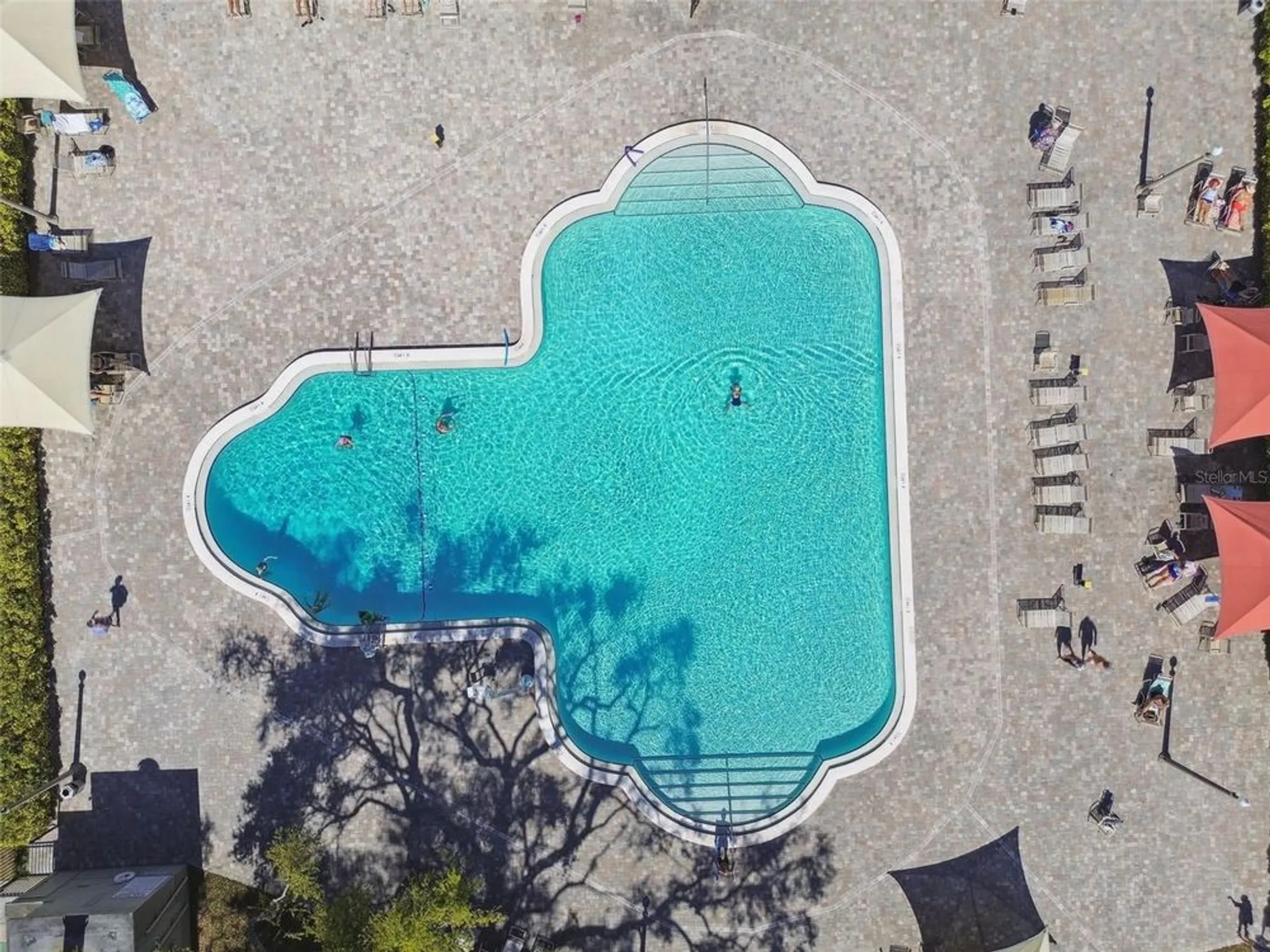 Property Slideshow image 47 of 73 | 2466 ecuadorian way apt 6, Clearwater, FL, 33763