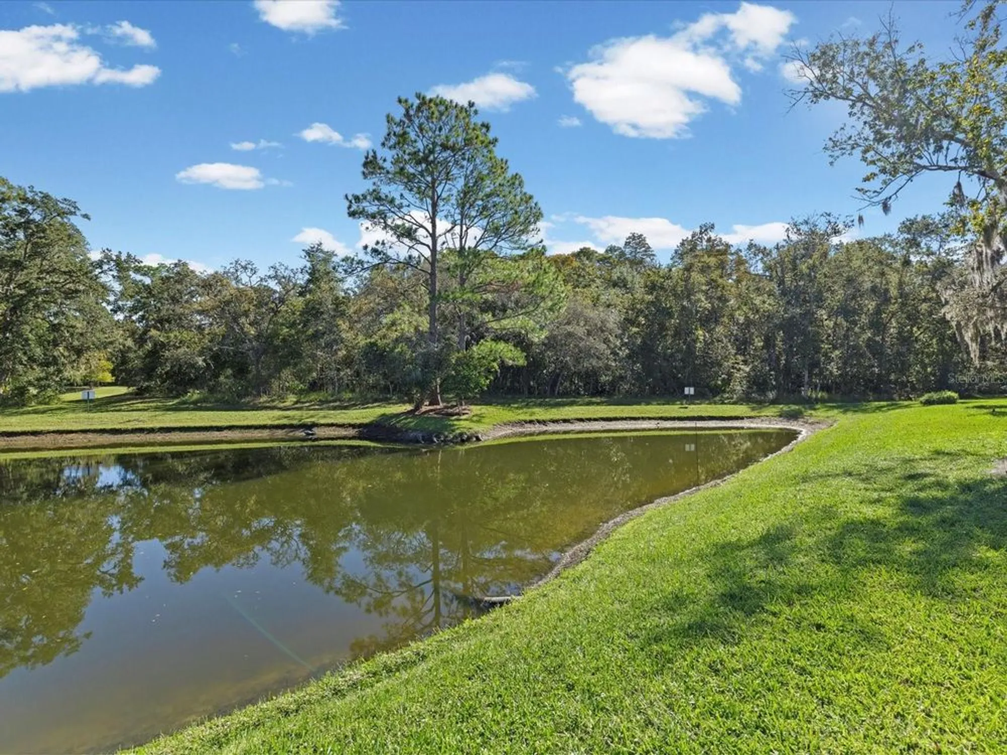 Property Slideshow image 2 of 61 | 11636 aspenwood dr, New Port Richey, FL, 34654