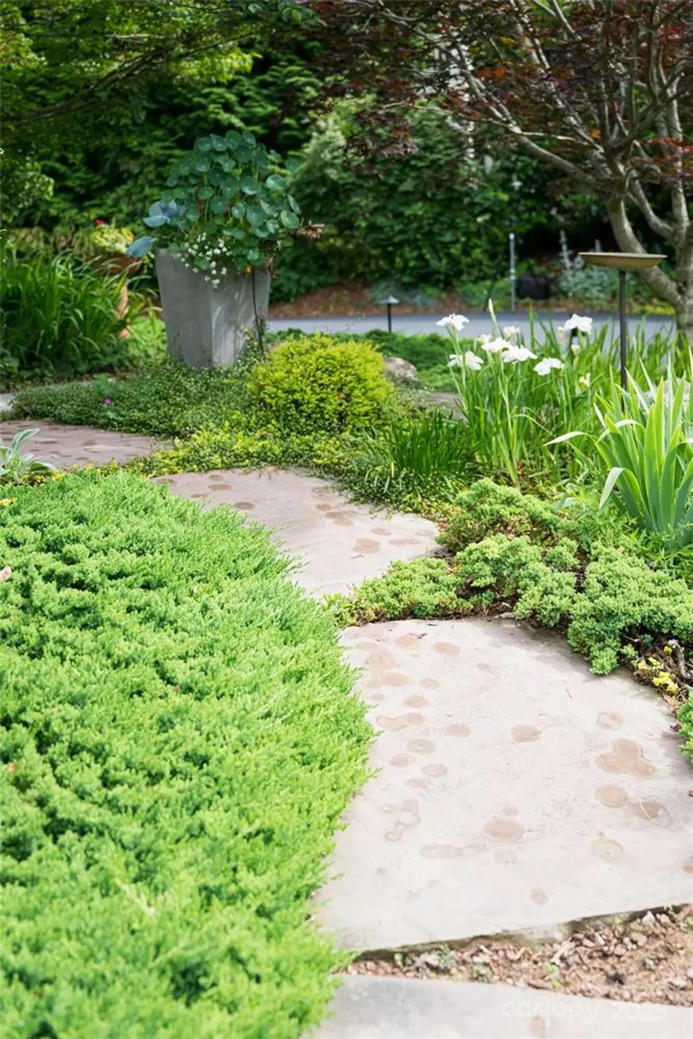 Property Slideshow image 41 of 46 | 7 white palmer ct, Biltmore Lake, NC, 28715