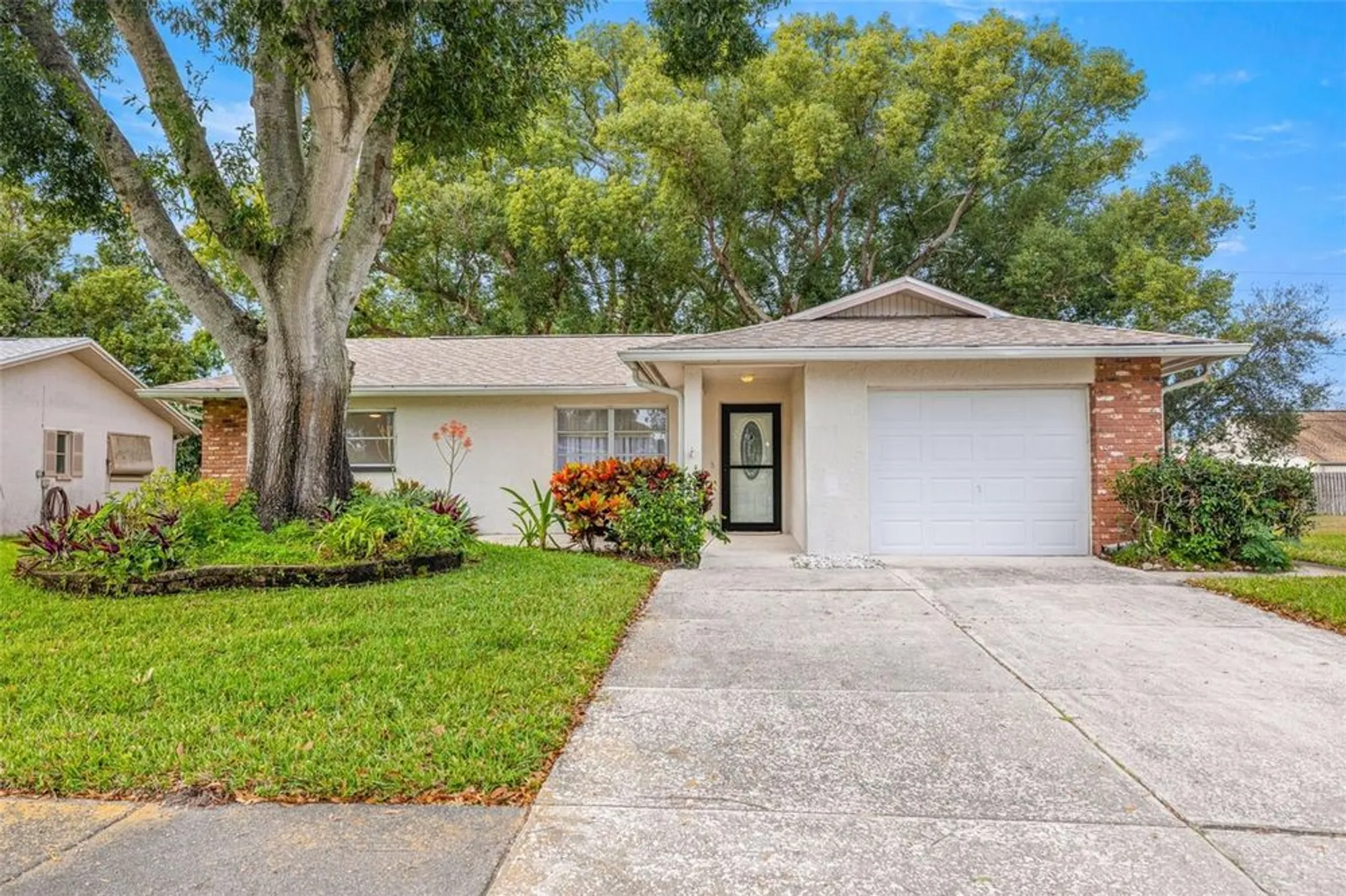 Property Slideshow image 1 of 50 | 142 stafford cir, Palm Harbor, FL, 34684