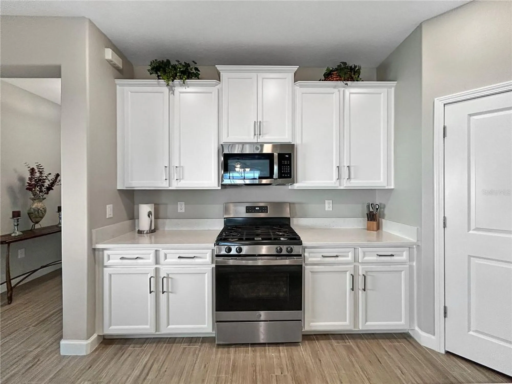 Property Slideshow image 6 of 30 | 16913 anchor root st, Wimauma, FL, 33598