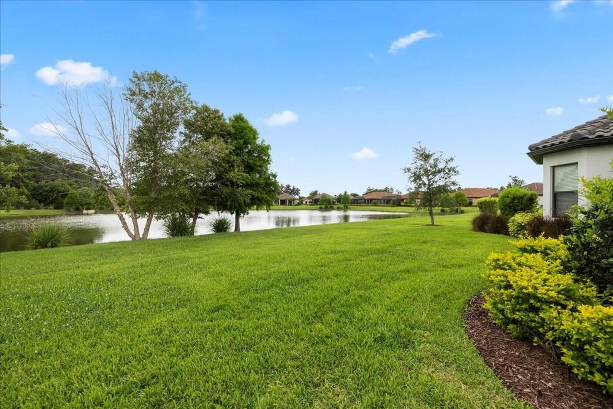 Property Slideshow image 55 of 91 | 11398 juglans dr, Odessa, FL, 33556