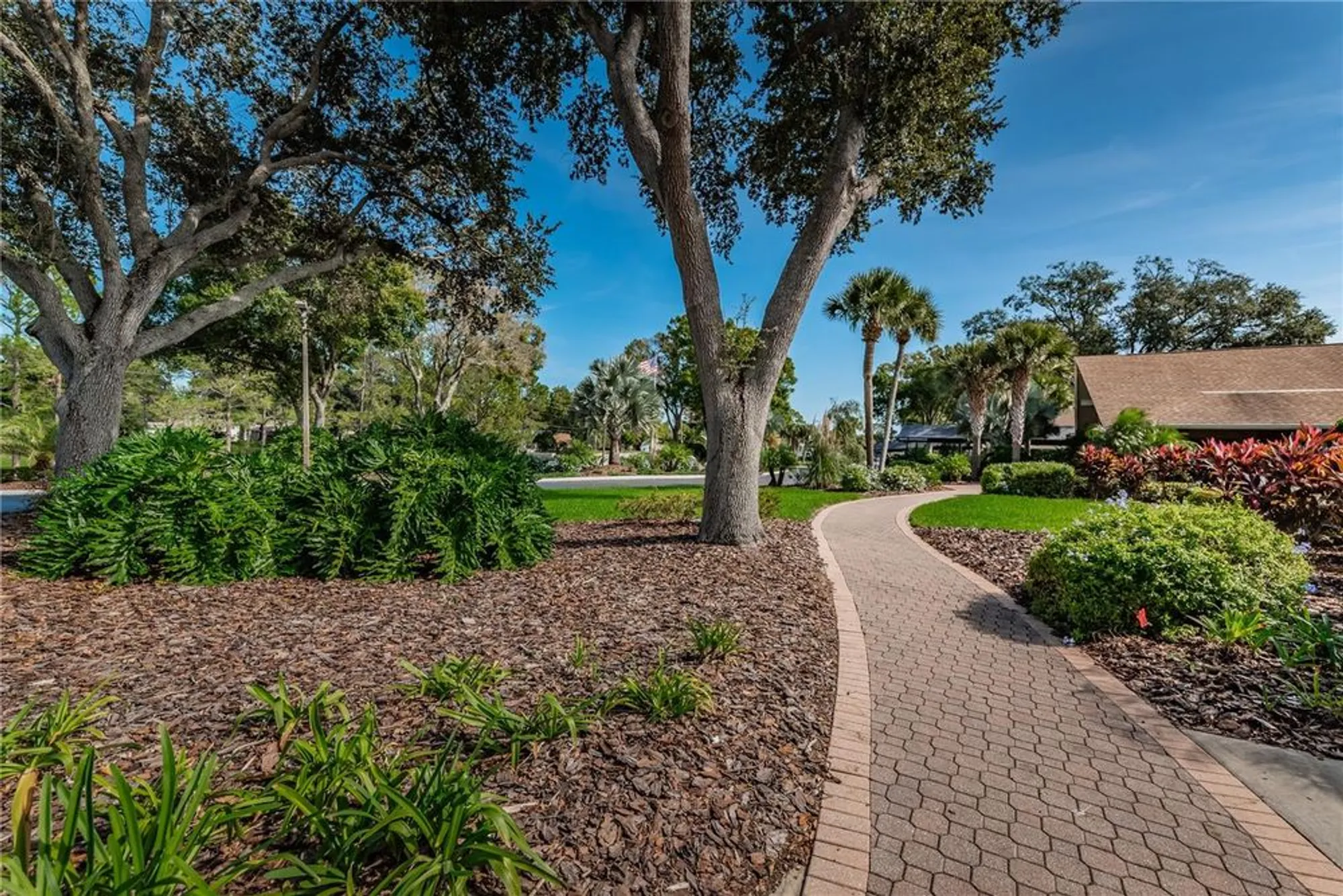 Property Slideshow image 62 of 100 | 3420 stonehaven ct d, Palm Harbor, FL, 34684