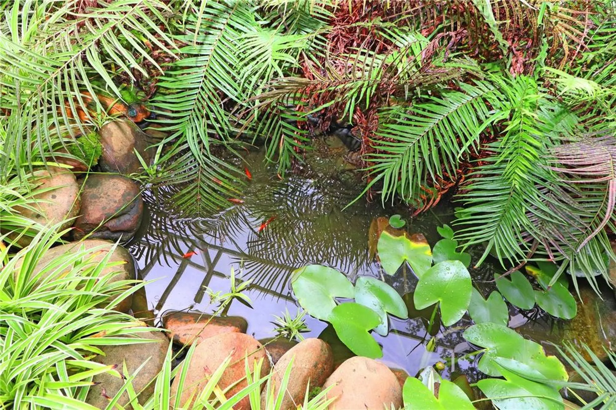 Property Slideshow image 28 of 49 | 22125 draw bridge dr, Leesburg, FL, 34748