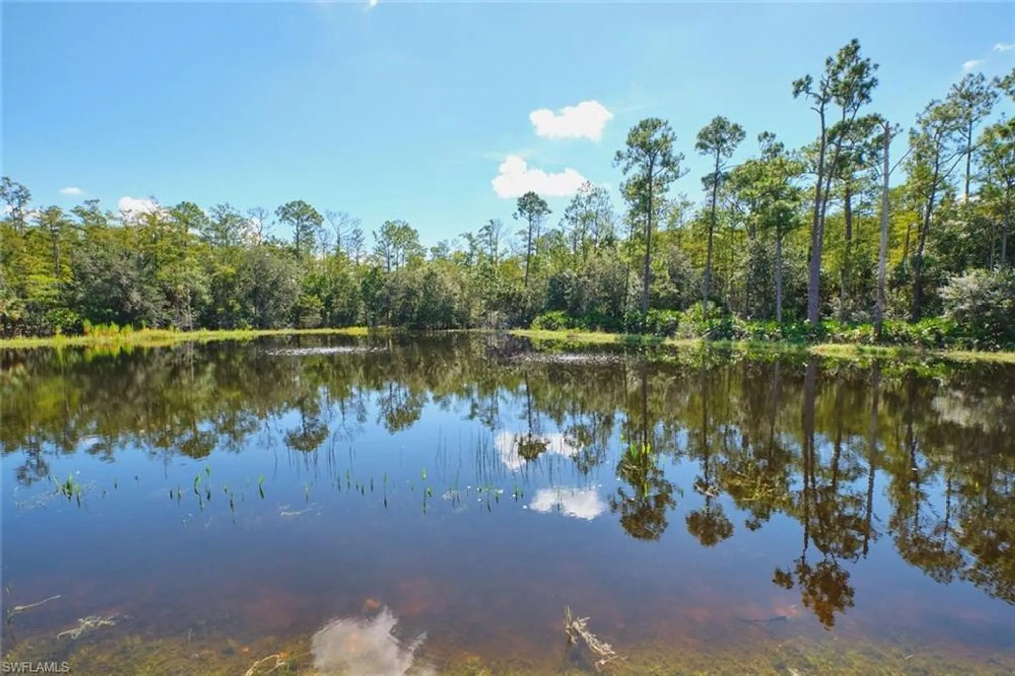 Property Slideshow image 36 of 50 | 10517 casella way apt 201, Fort Myers, FL, 33913