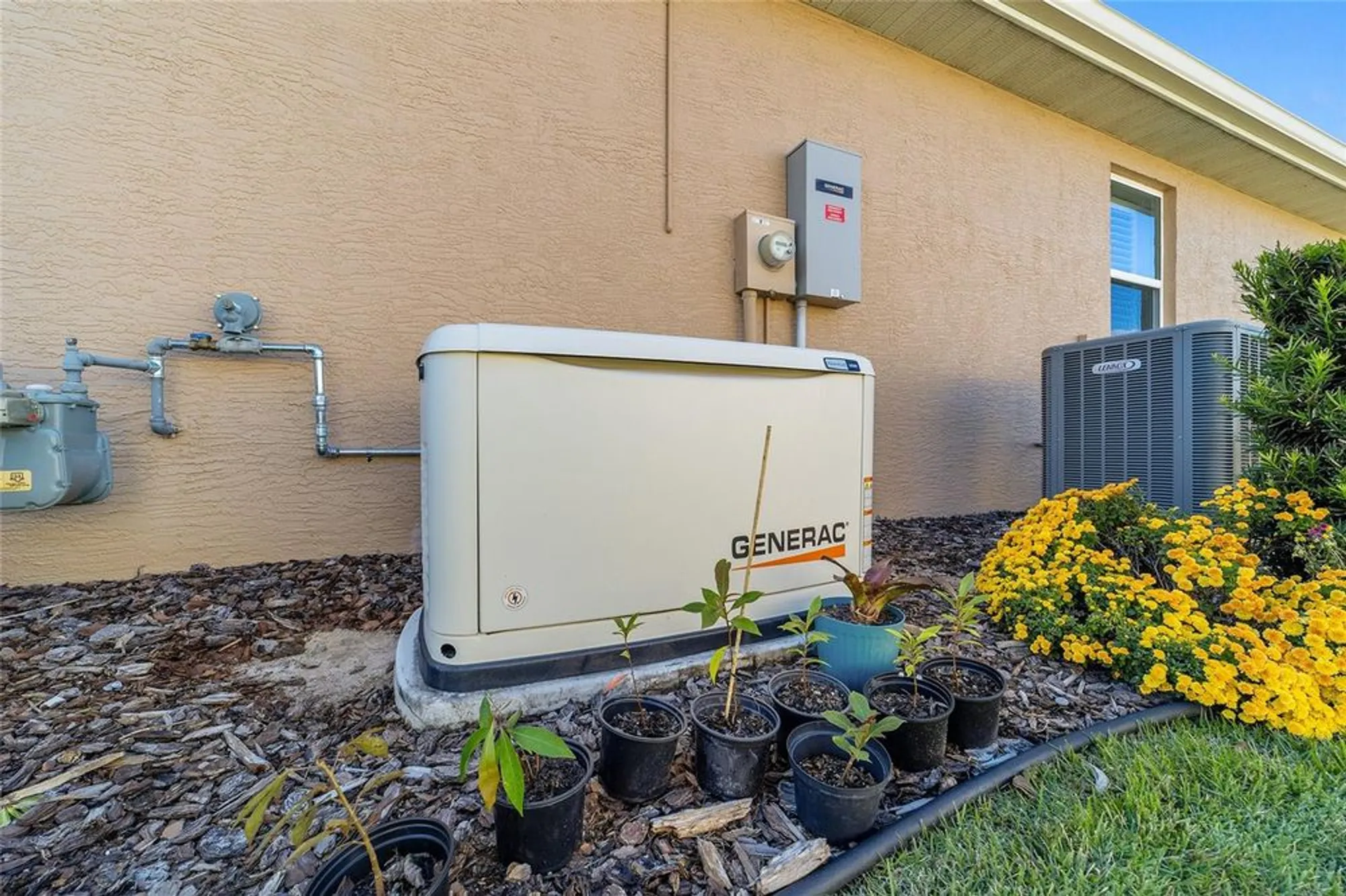 Property Slideshow image 40 of 42 | 10119 sw 88th st, Ocala, FL, 34481