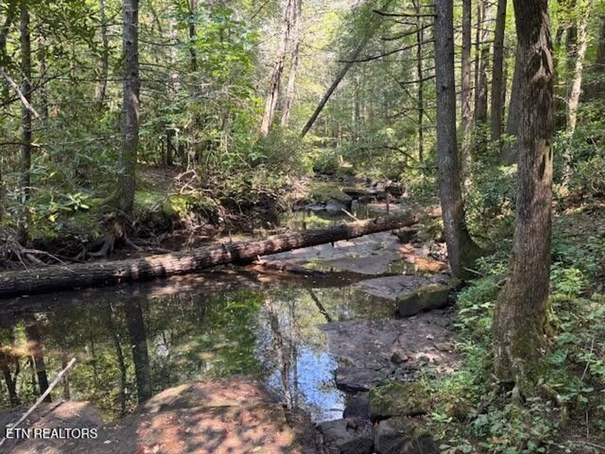 Property Slideshow image 38 of 42 | 151 forest view dr, Crossville, TN, 38558