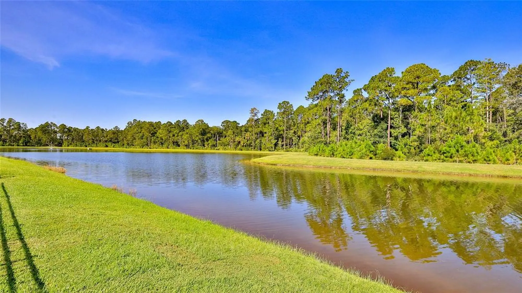 Property Slideshow image 23 of 32 | 236 caryota ct, New Smyrna Beach, FL, 32168