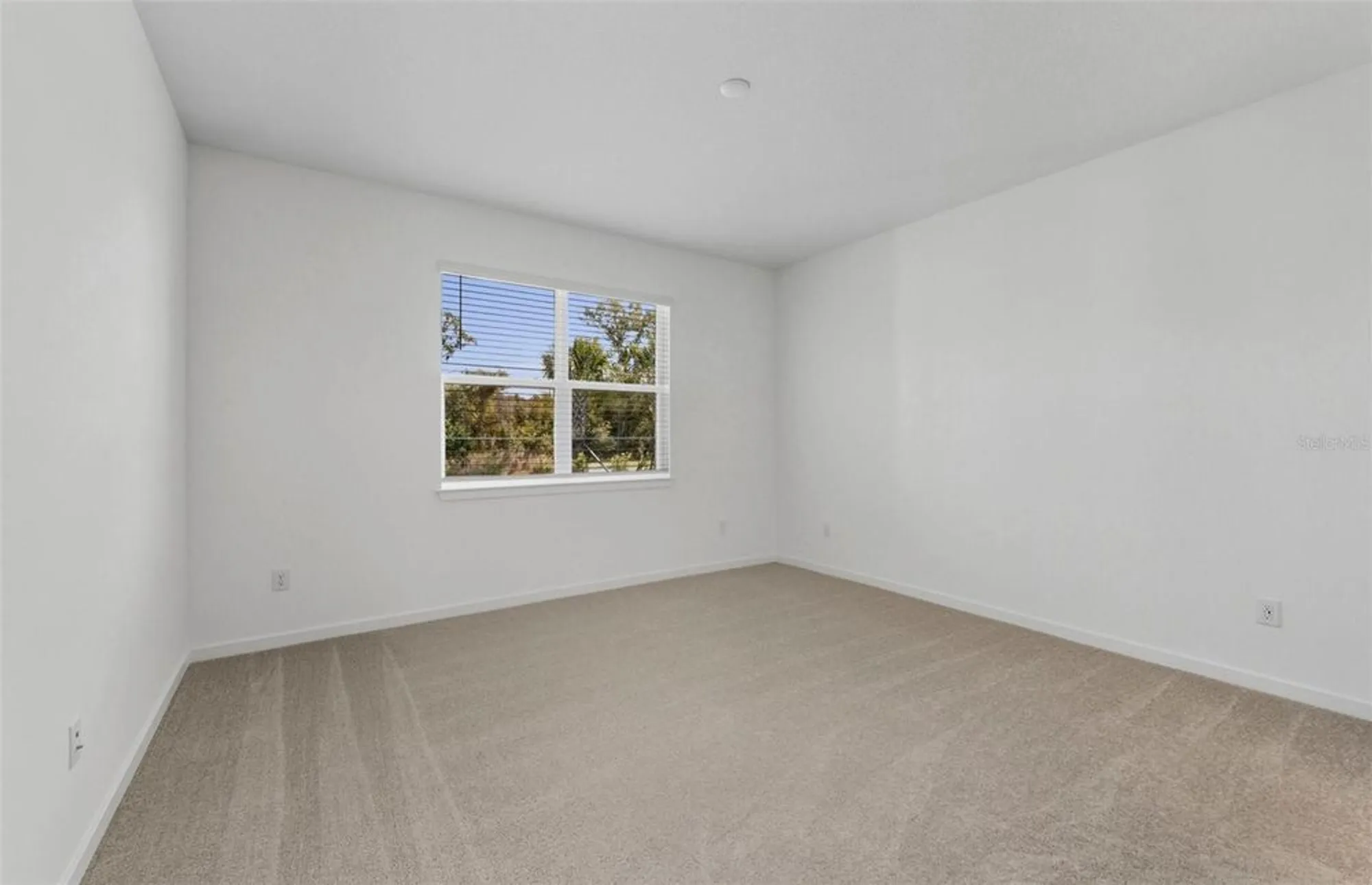 Property Slideshow image 8 of 28 | 13764 rocky pine pl, Spring Hill, FL, 34610