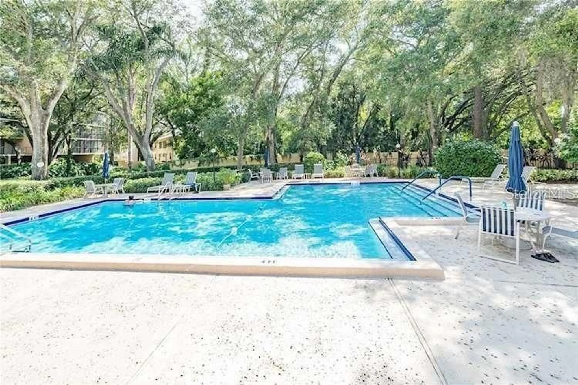 Property Slideshow image 55 of 57 | 3078 eastland blvd 107, Clearwater, FL, 33761