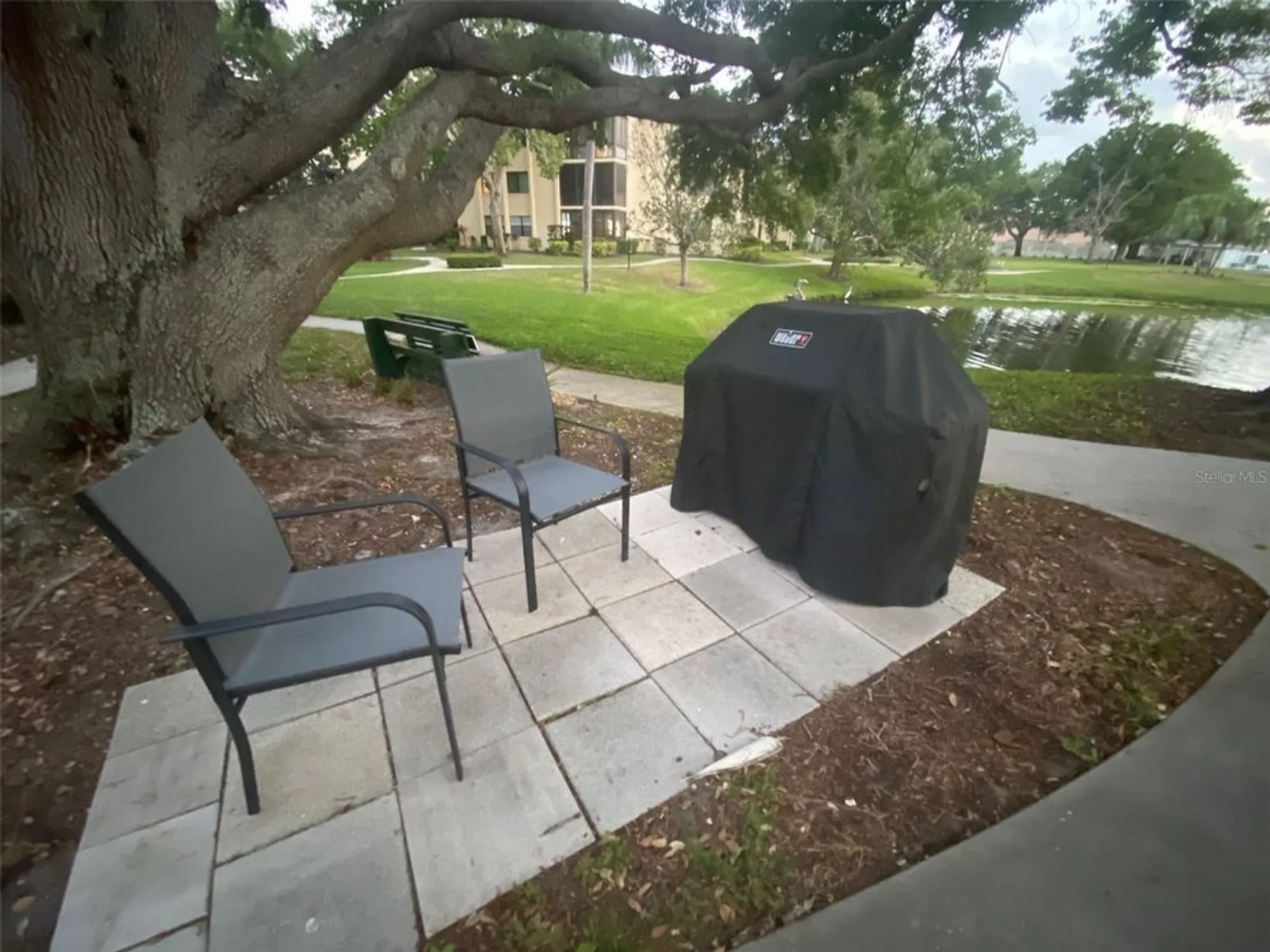 Property Slideshow image 54 of 56 | 14130 rosemary ln 3312, Largo, FL, 33774