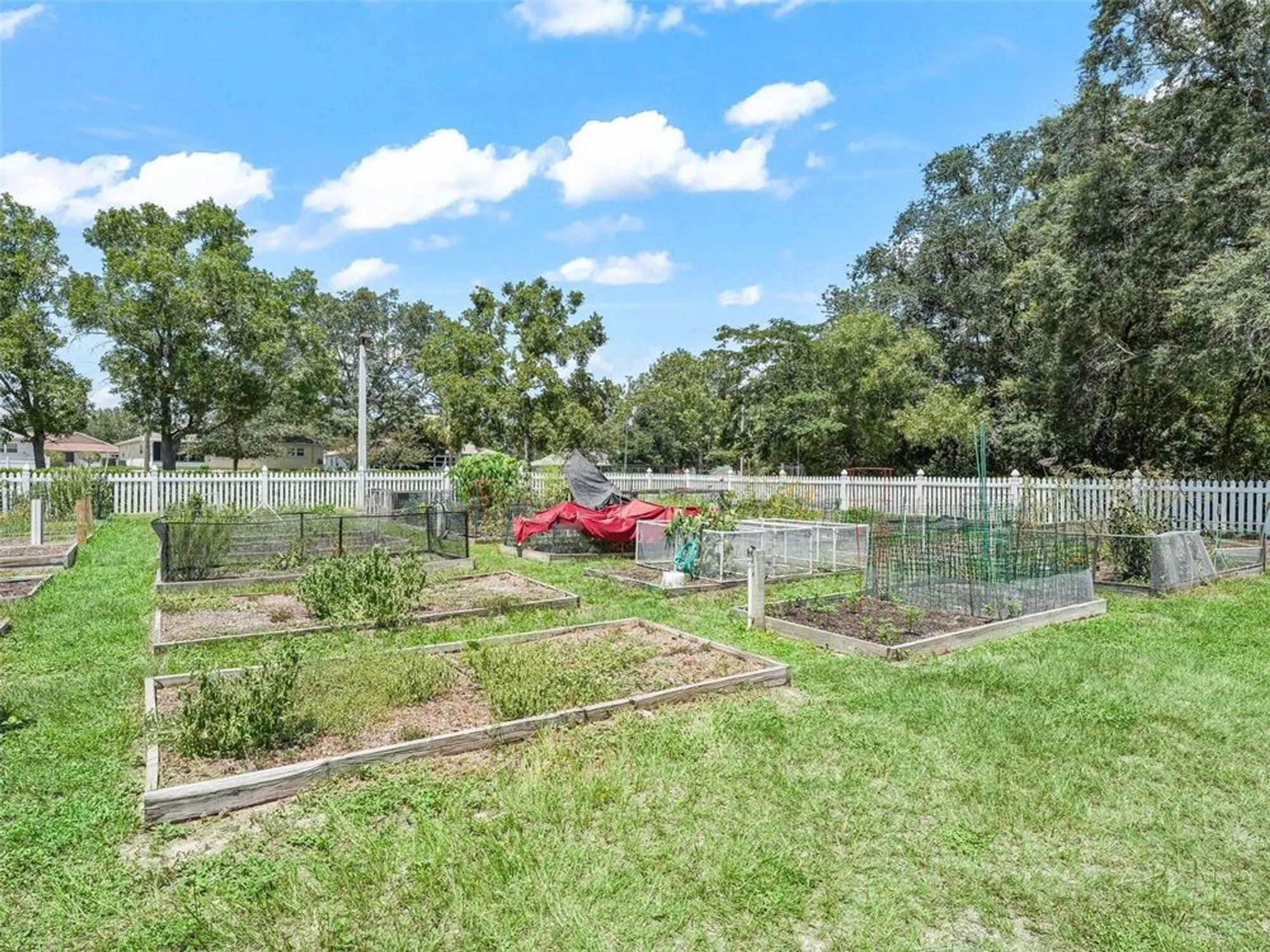 Property Slideshow image 53 of 63 | 10525 sw 90th street rd, Ocala, FL, 34481