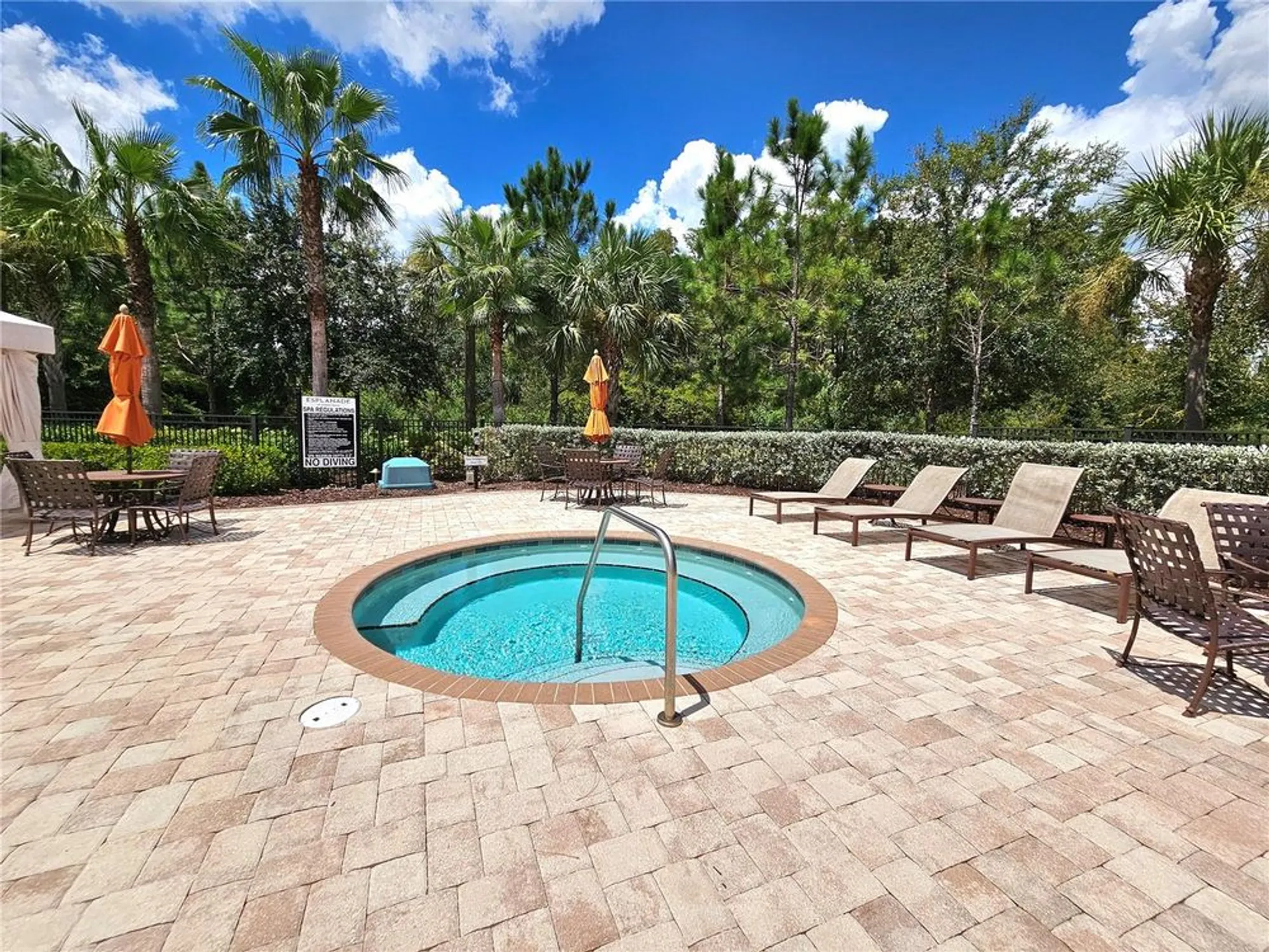 Property Slideshow image 59 of 72 | 11740 bitola dr, Odessa, FL, 33556