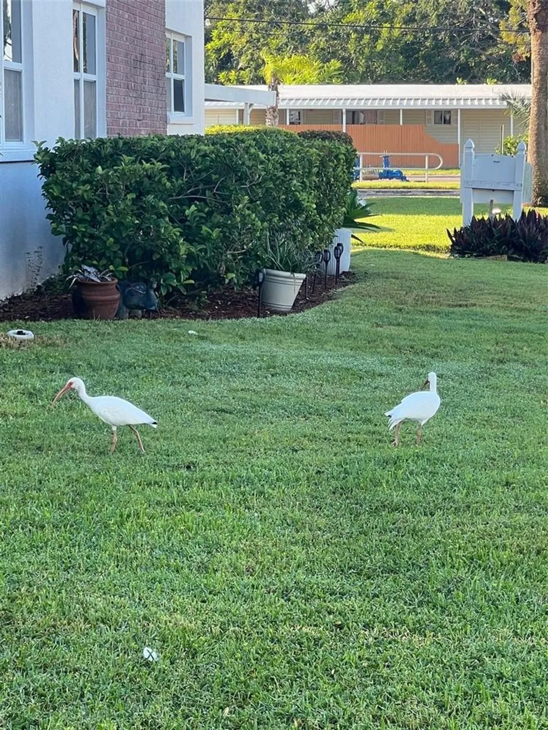 Property Slideshow image 3 of 30 | 7941 58th ave n unit 106, St Petersburg, FL, 33709