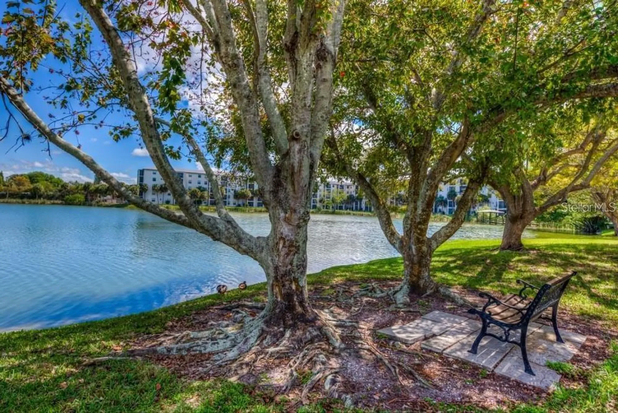 Property Slideshow image 4 of 17 | 4067 lake bayshore dr # 302, Bradenton, FL, 34205