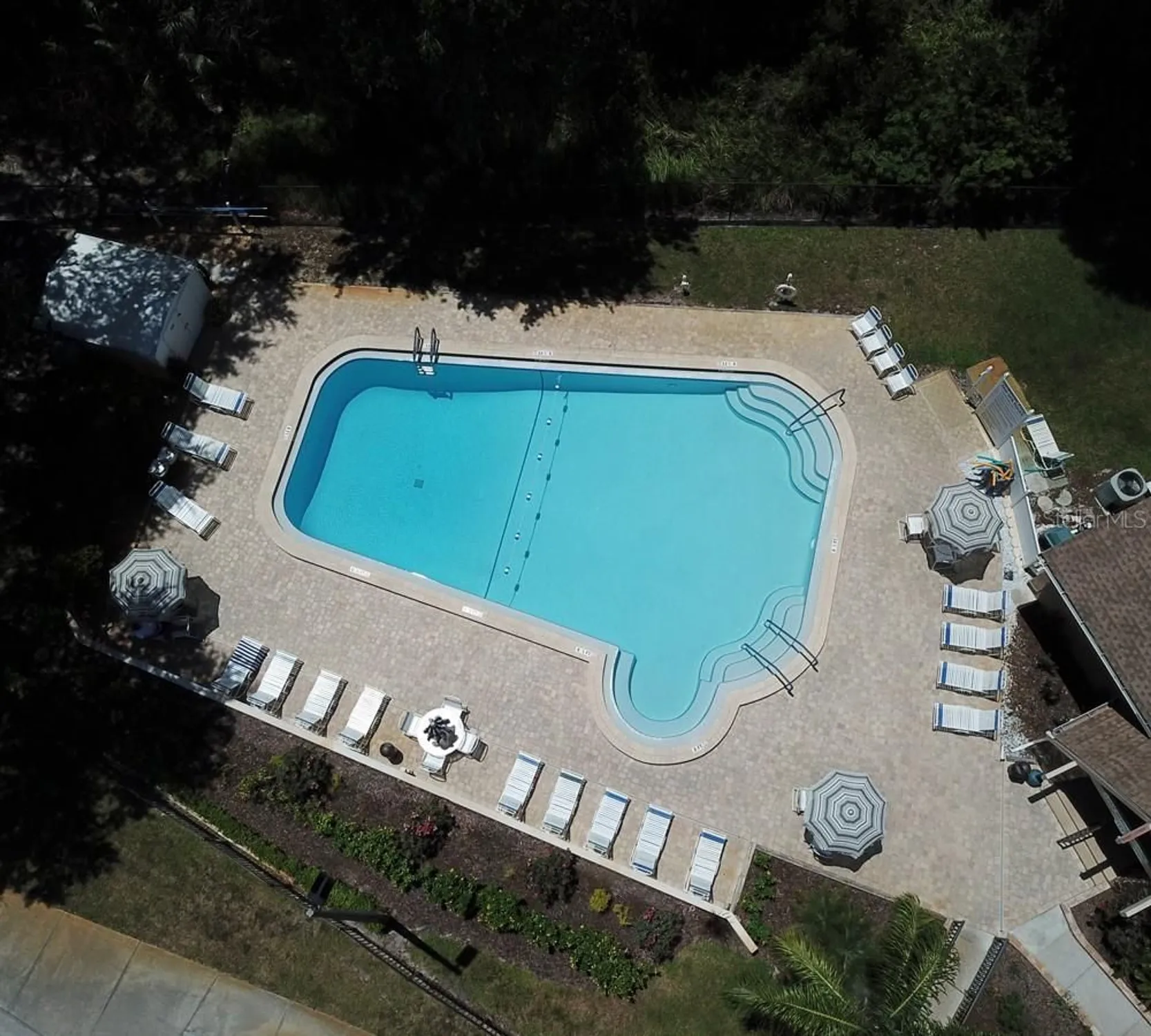 Property Slideshow image 25 of 26 | 1090 seville dr 29, Palm Harbor, FL, 34684