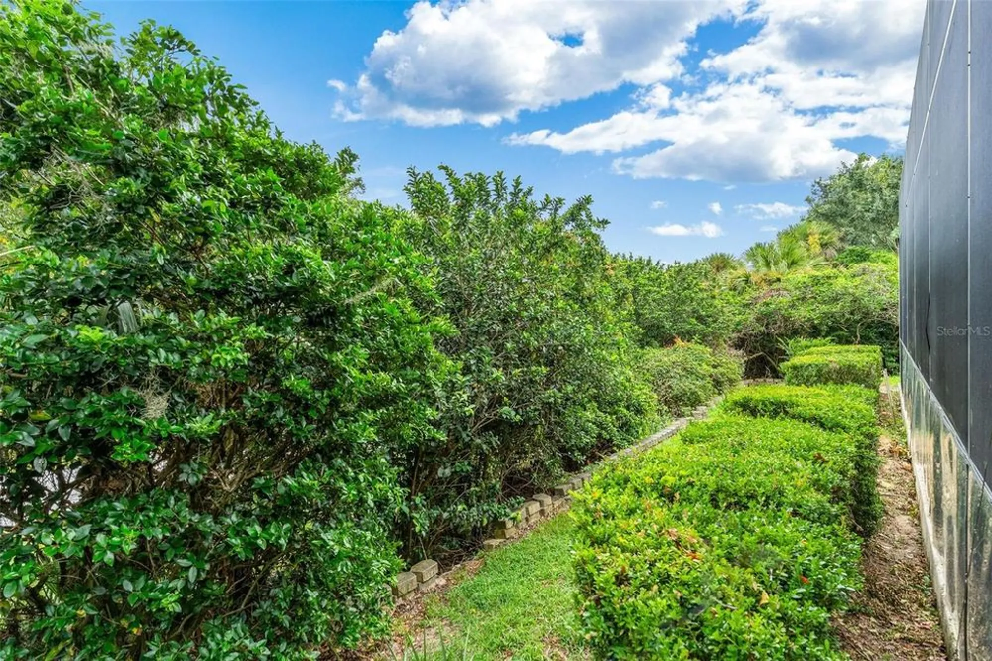 Property Slideshow image 46 of 49 | 5239 grove mnr, Lady Lake, FL, 32159