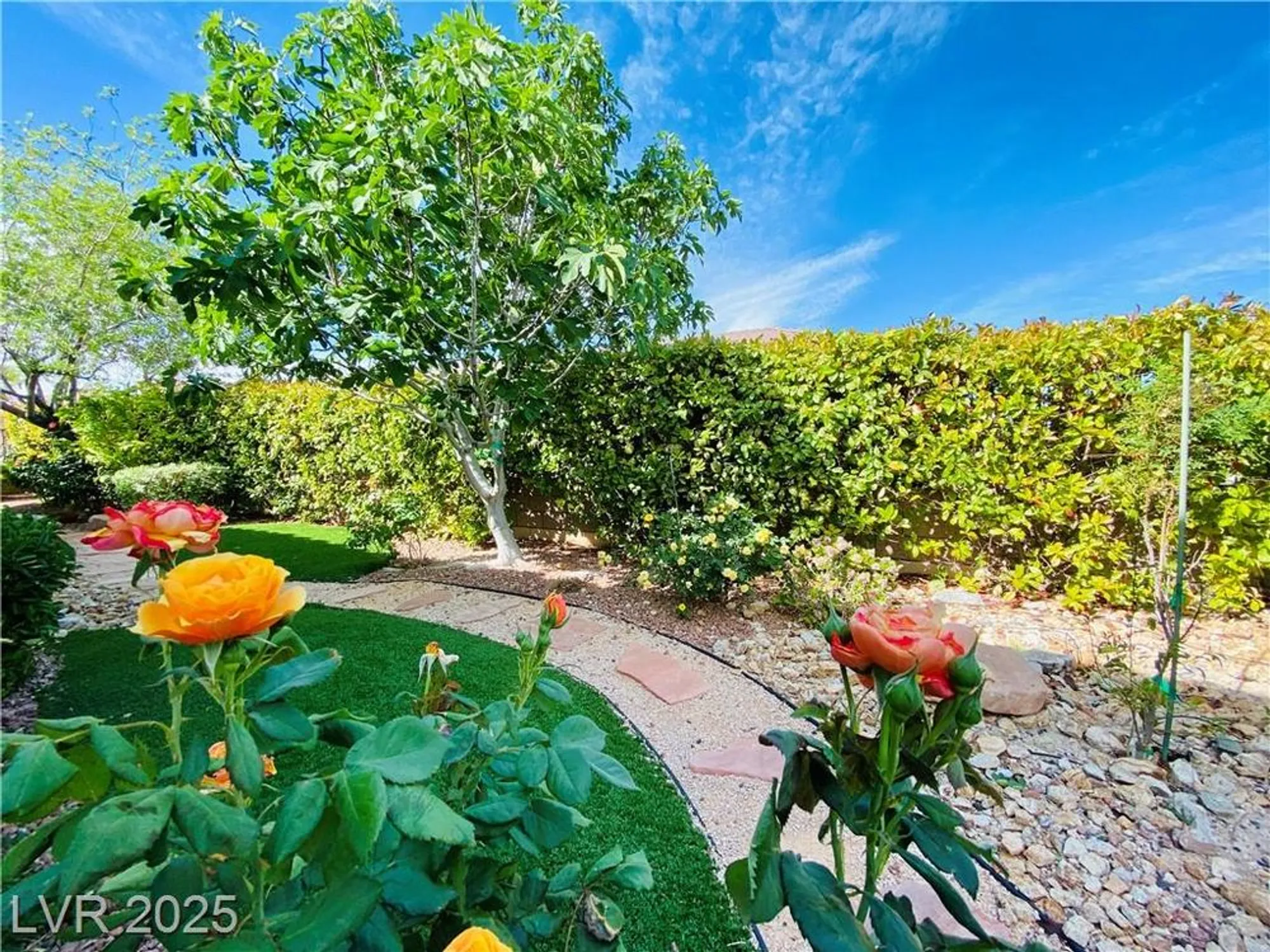 Property Slideshow image 54 of 68 | 2357 wisconsin dells dr, Henderson, NV, 89044