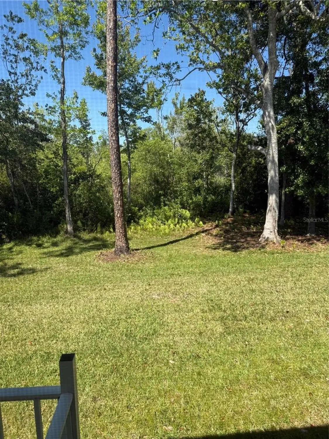 Property Slideshow image 46 of 68 | 32676 oak park dr, Leesburg, FL, 34748