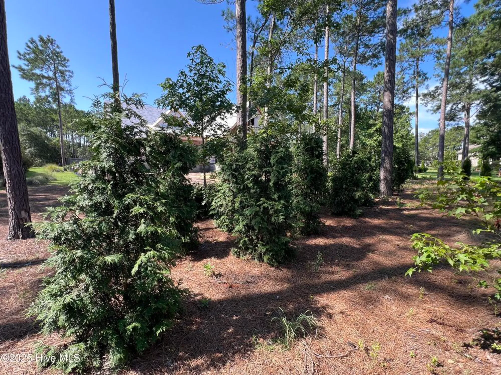 Property Slideshow image 101 of 101 | 521 lindgrove pl, Ocean Isle Beach, NC, 28469