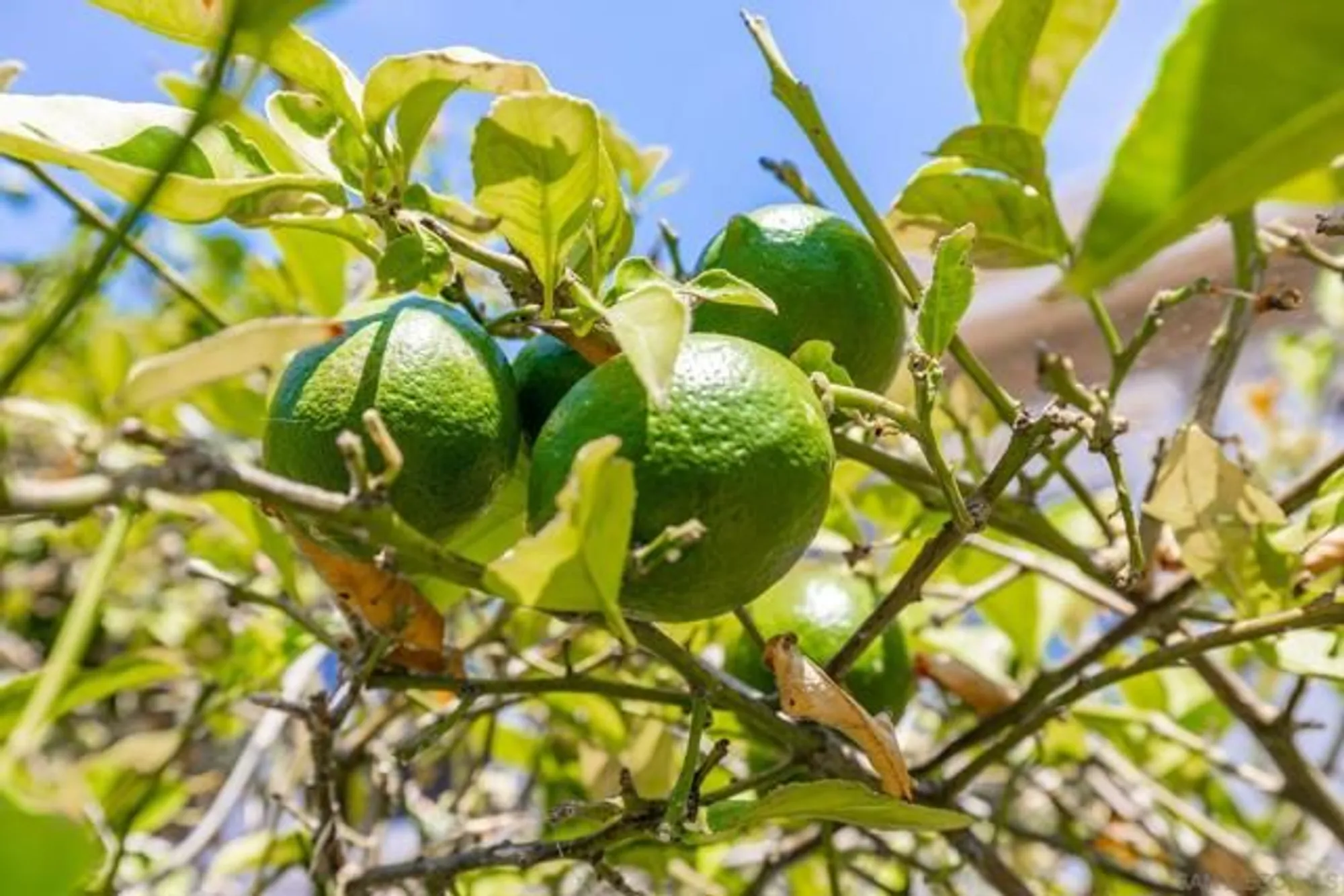 Property Slideshow image 27 of 29 | 2010 w san marcos blvd 90, San Marcos, CA, 92078