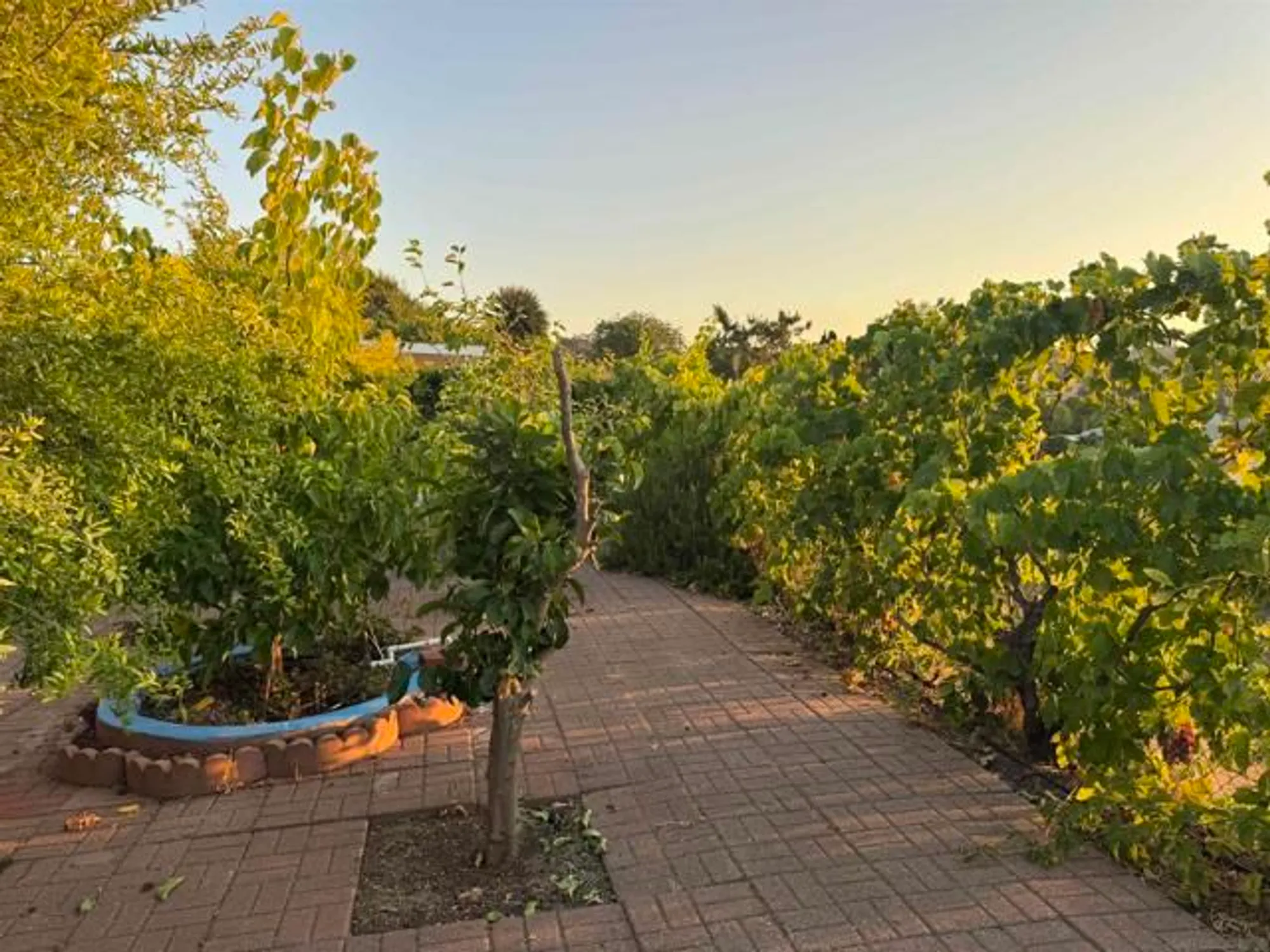 Property Slideshow image 3 of 4 | 16846 dominican dr, San Diego, CA, 92128