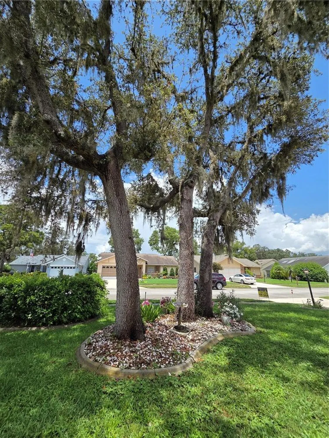 Property Slideshow image 10 of 48 | 9902 saint joseph ct, New Port Richey, FL, 34655