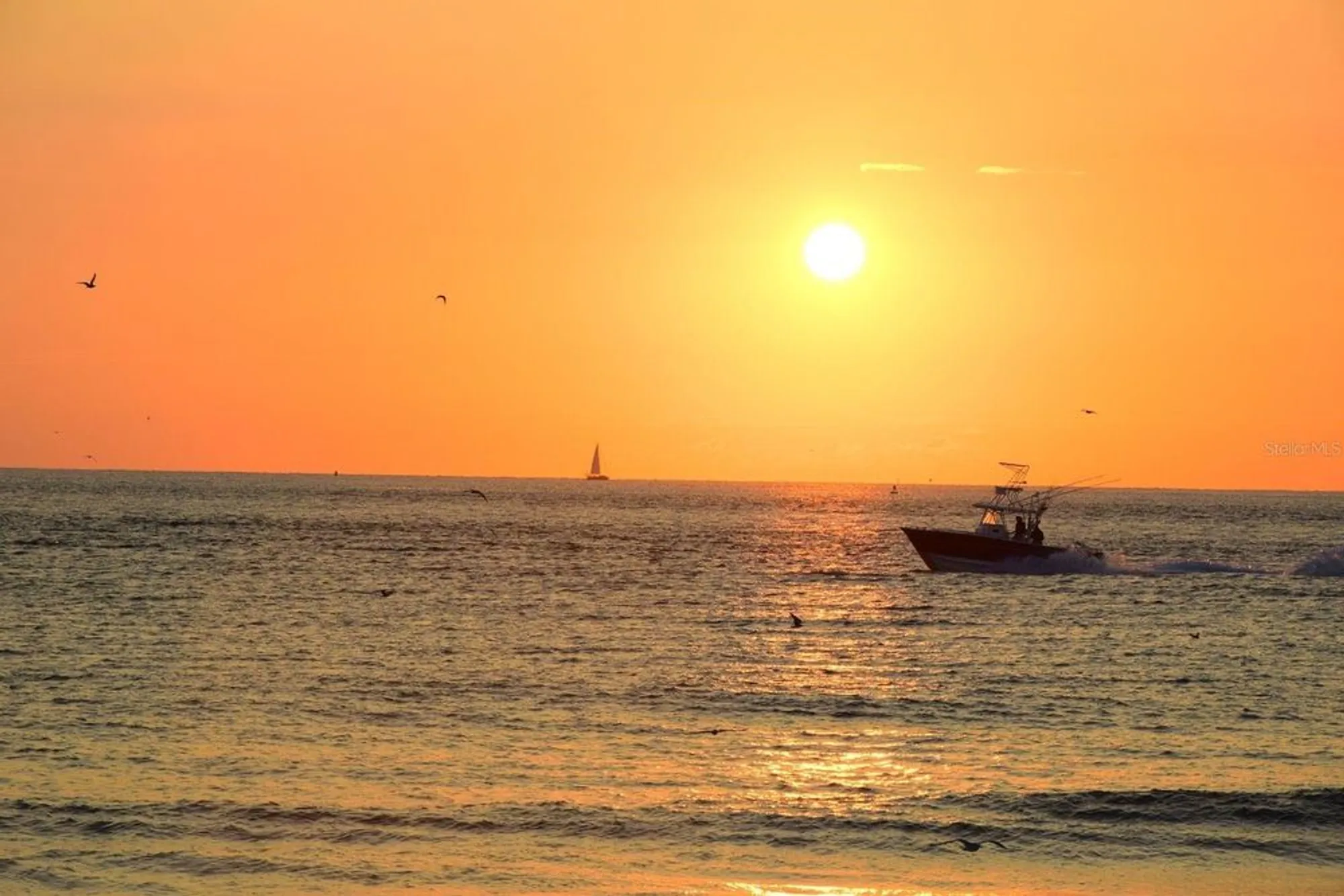 Property Slideshow image 60 of 63 | 6465 carrington cir 44, Sarasota, FL, 34238