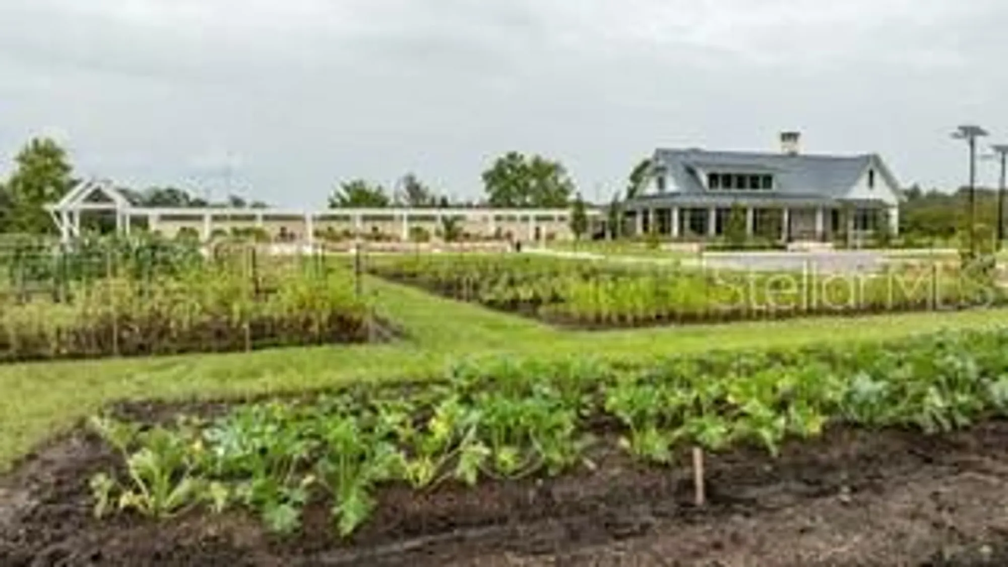 Property Slideshow image 5 of 7 | 16808 forge surf st, Land O Lakes, FL, 34638