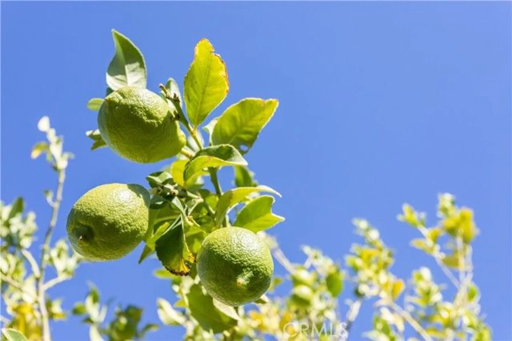 Property Slideshow image 23 of 32 | 10676 cherry hills dr, Cherry Valley, CA, 92223