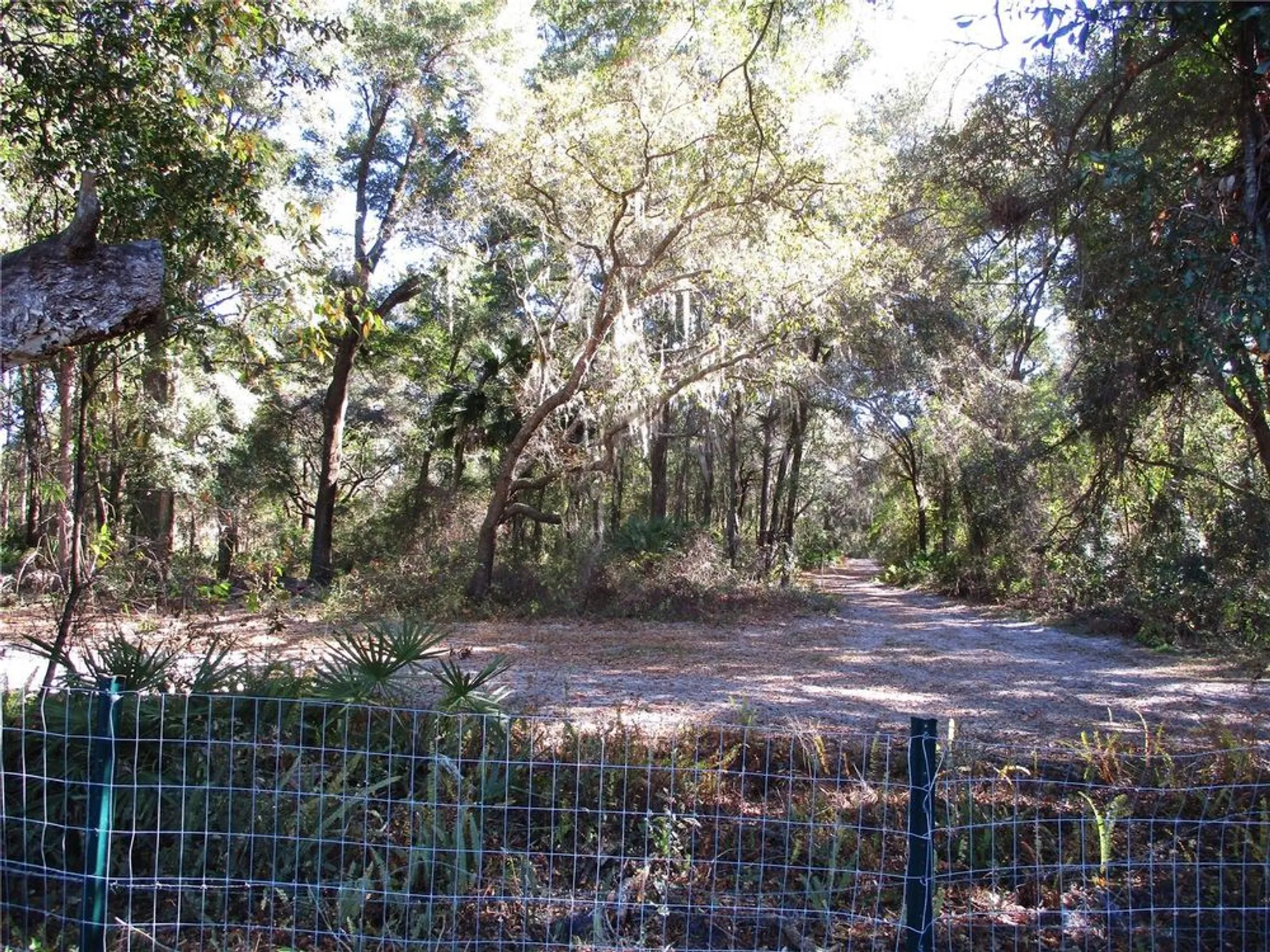 Property Slideshow image 53 of 77 | 14652 sw 112th cir, Dunnellon, FL, 34432