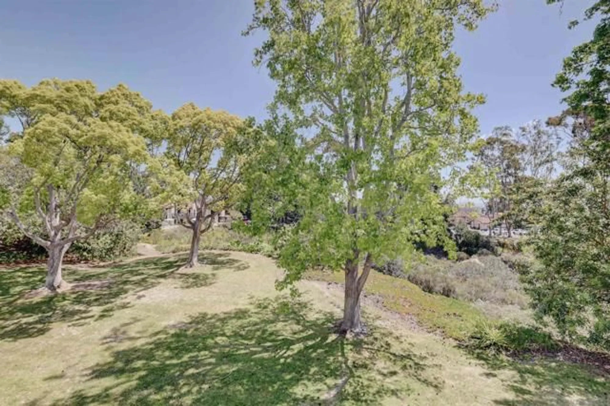 Property Slideshow image 19 of 48 | 1982 fairlee dr, Encinitas, CA, 92024