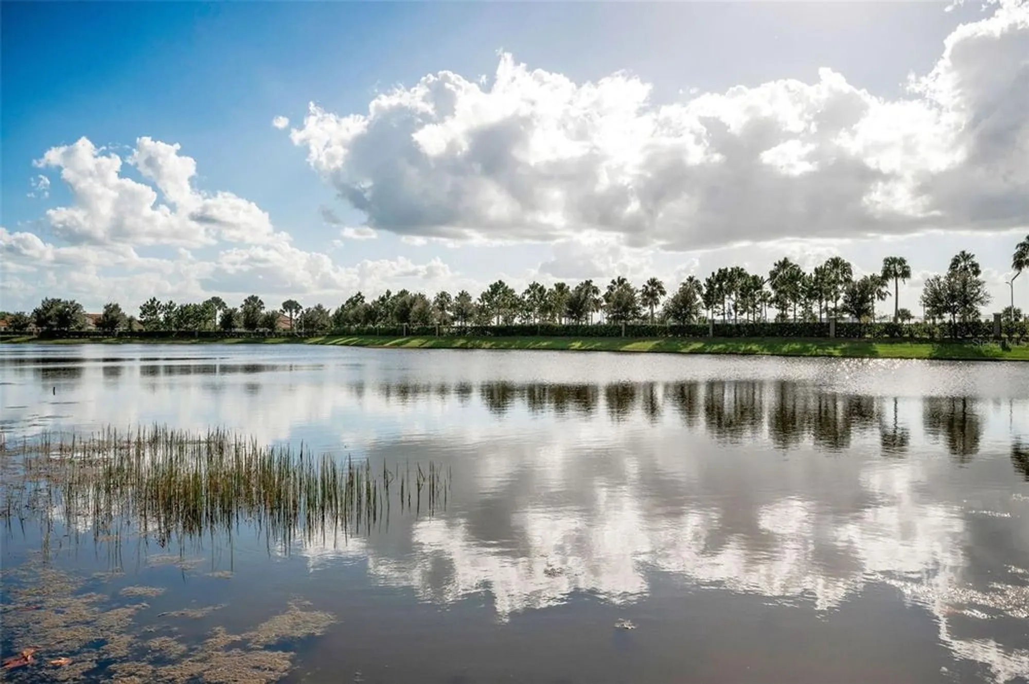 Property Slideshow image 33 of 55 | 16833 banner shell pl, Wimauma, FL, 33598