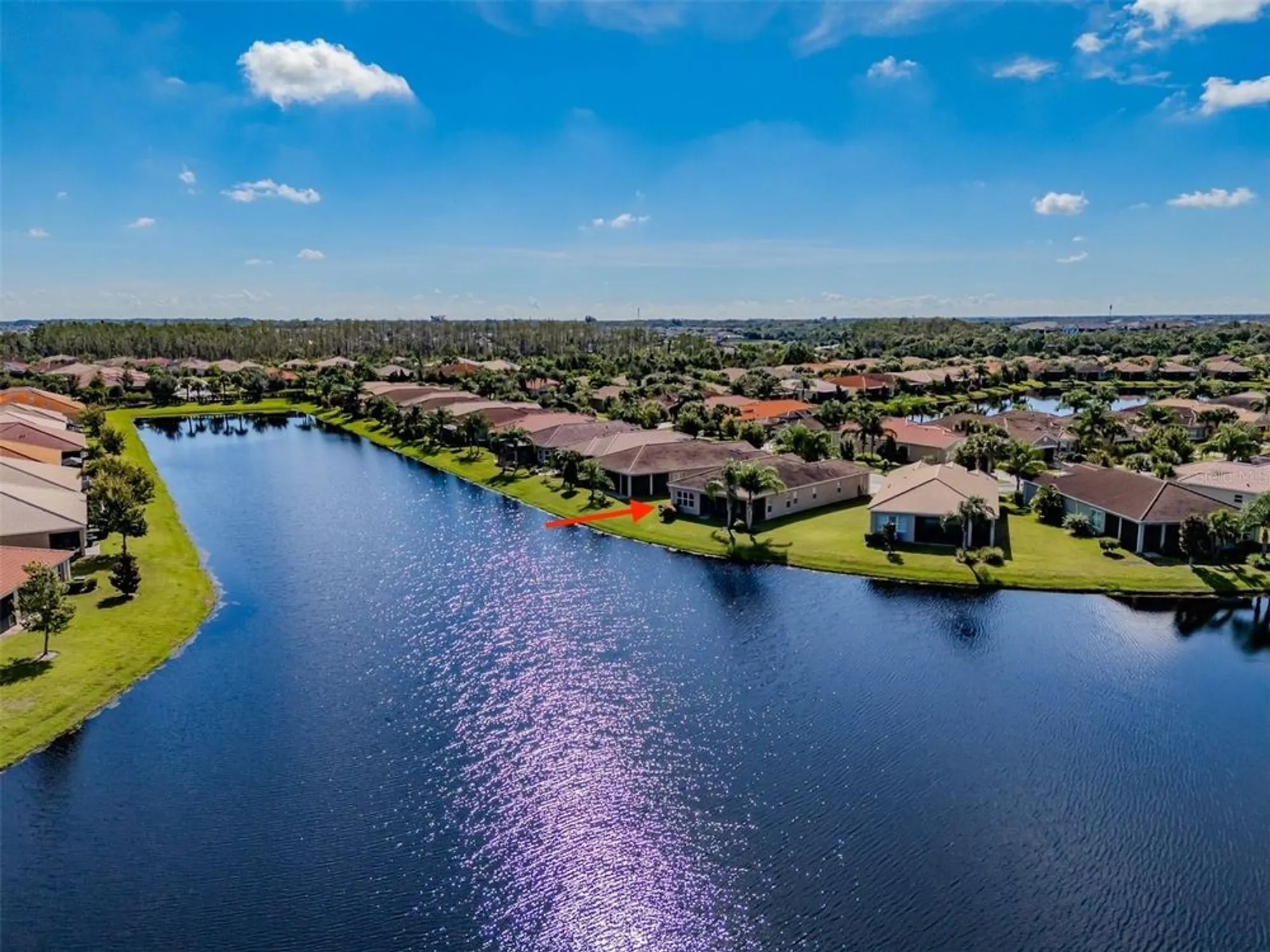 Property Slideshow image 44 of 87 | 4938 grand banks dr, Wimauma, FL, 33598