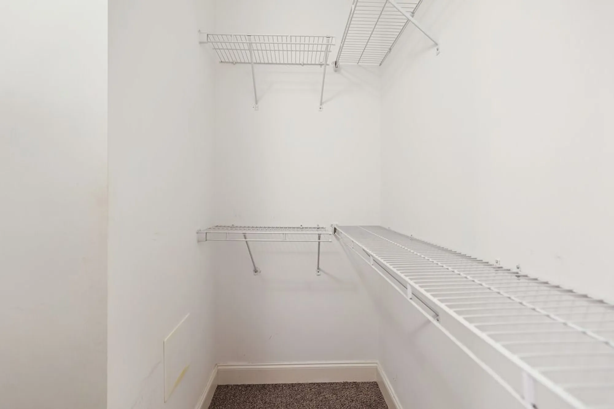 Property Slideshow image 41 of 45 | 304 thesing ct pvt, Nolensville, TN, 37135