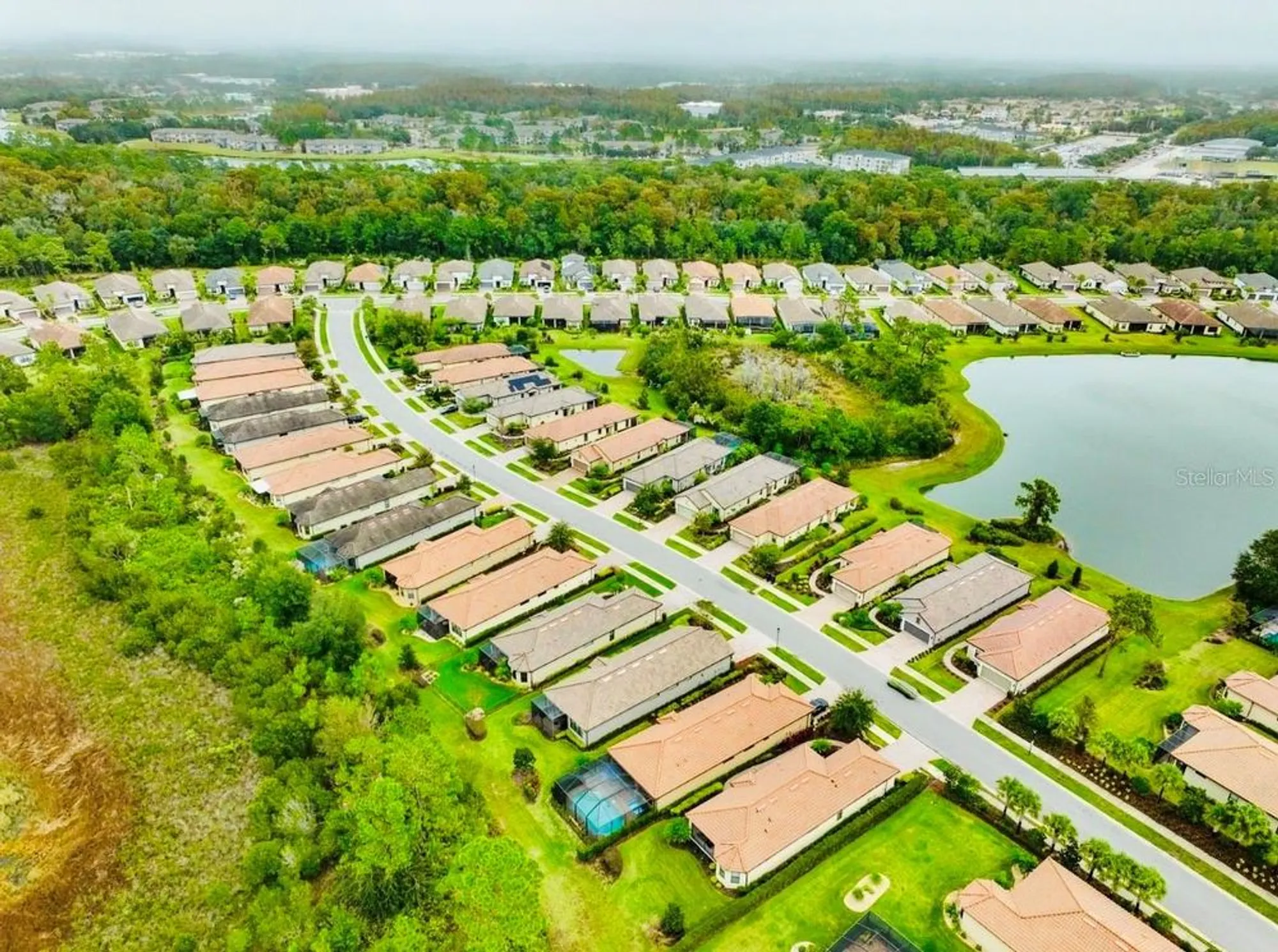 Property Slideshow image 44 of 70 | 20112 sorano hill pl, Tampa, FL, 33647