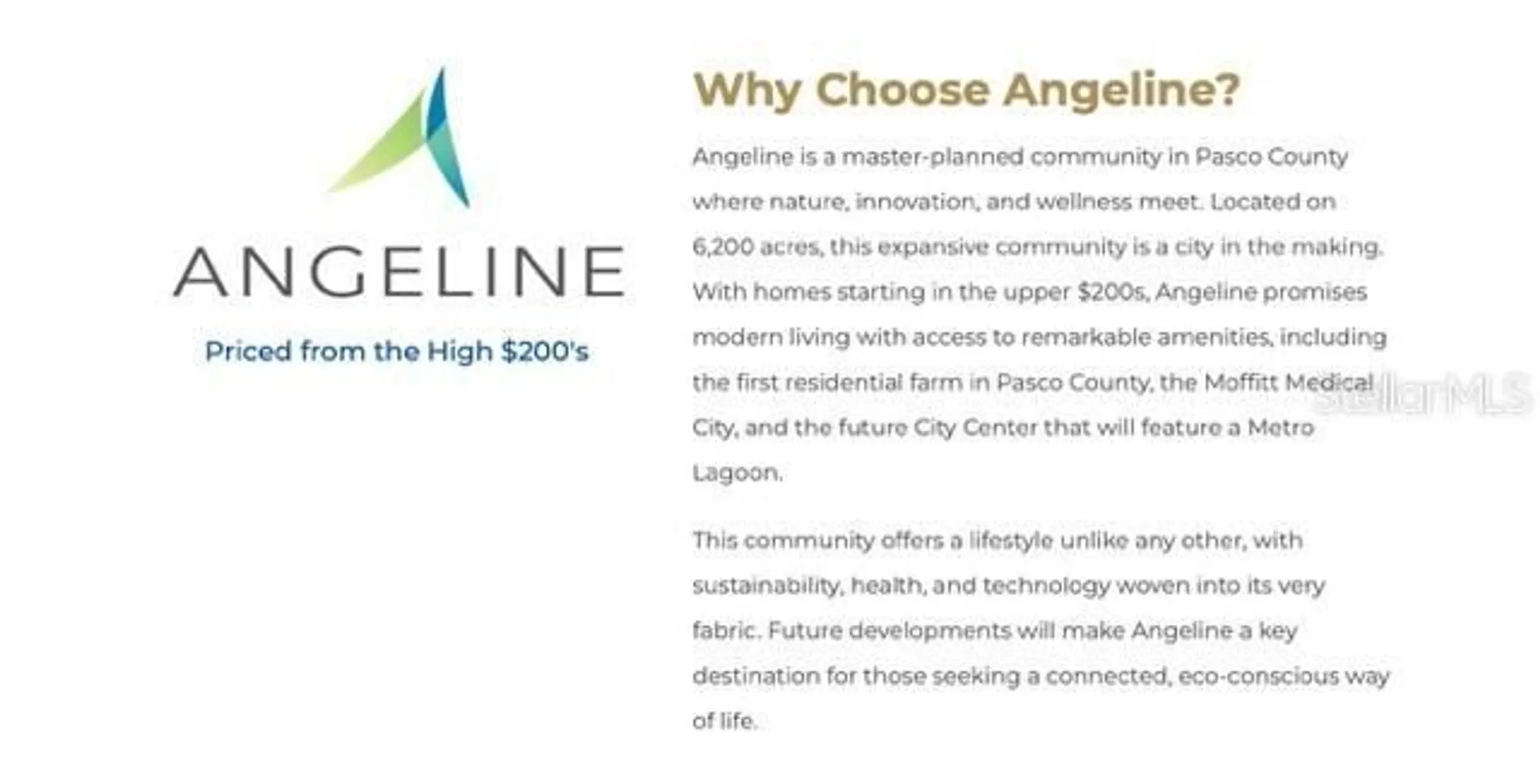 Property Slideshow image 7 of 7 | 16808 forge surf st, Land O Lakes, FL, 34638