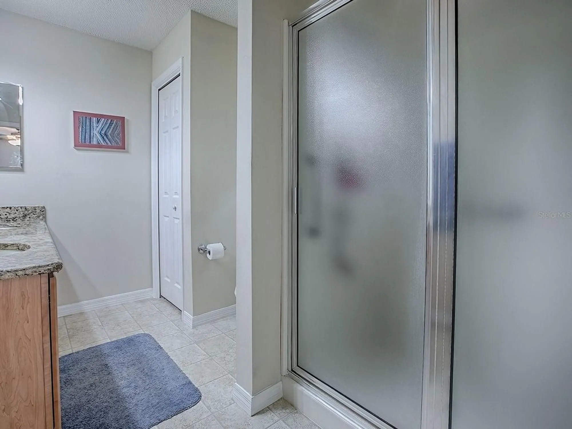 Property Slideshow image 24 of 44 | 133 olanta dr, The Villages, FL, 32162