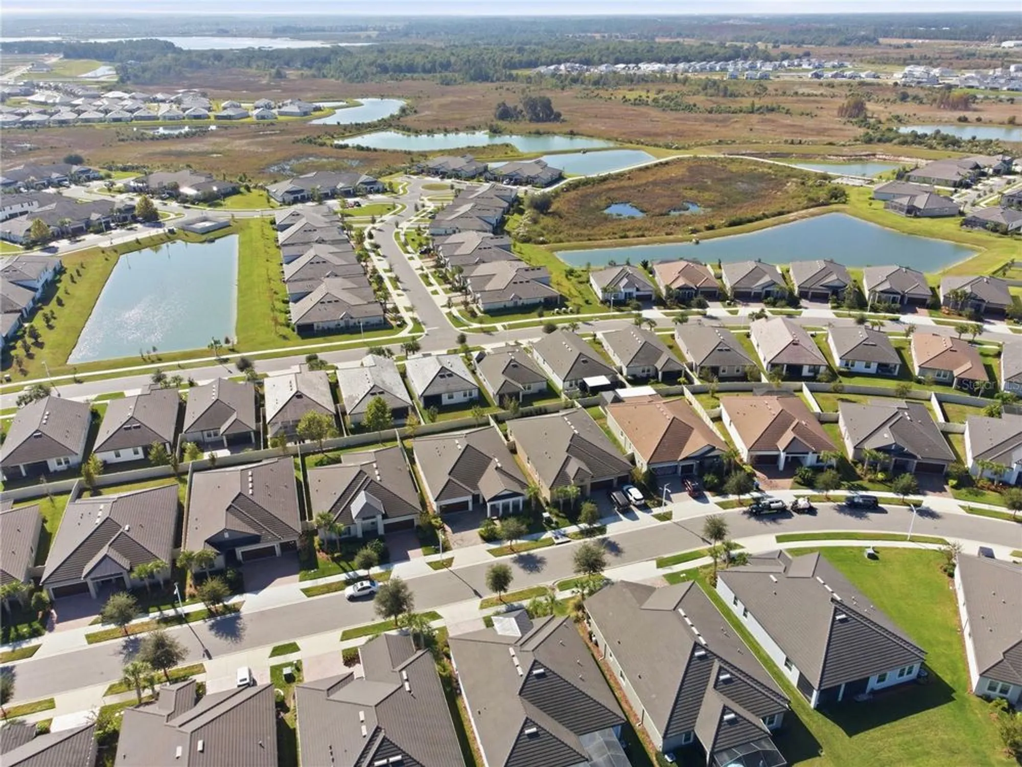 Property Slideshow image 98 of 99 | 31548 cabana rye ave, San Antonio, FL, 33576